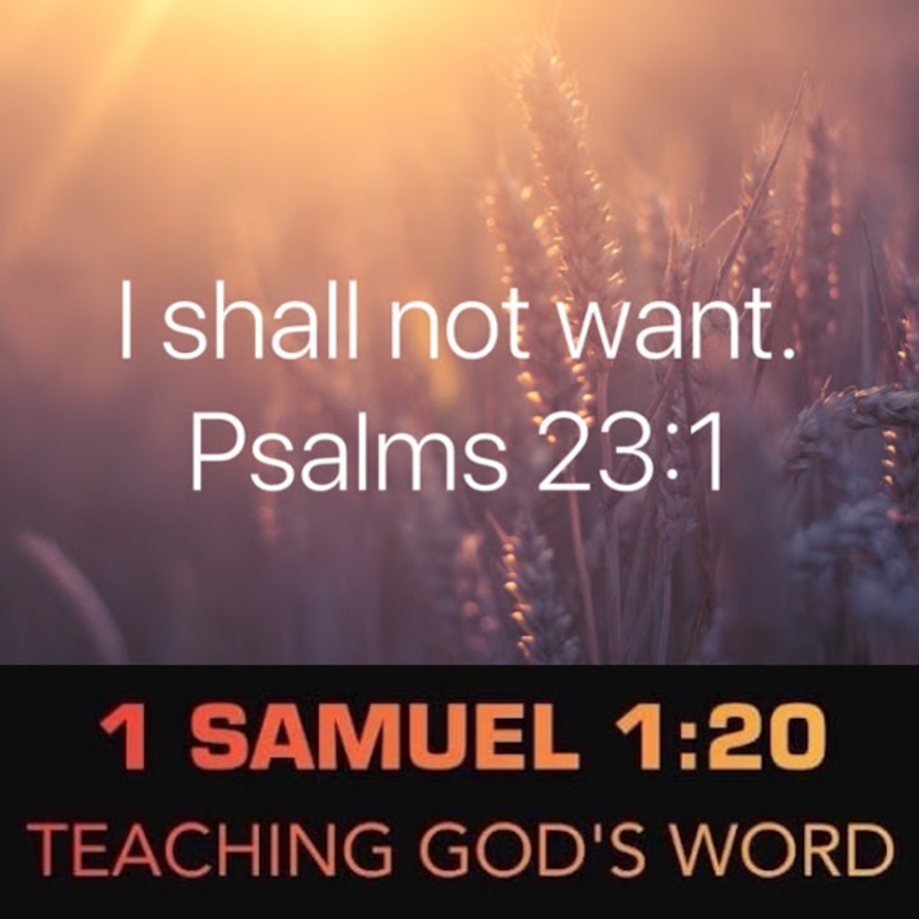 Psalm 23:1 He Is My Shepherd, Nothing Else Matters episode artwork