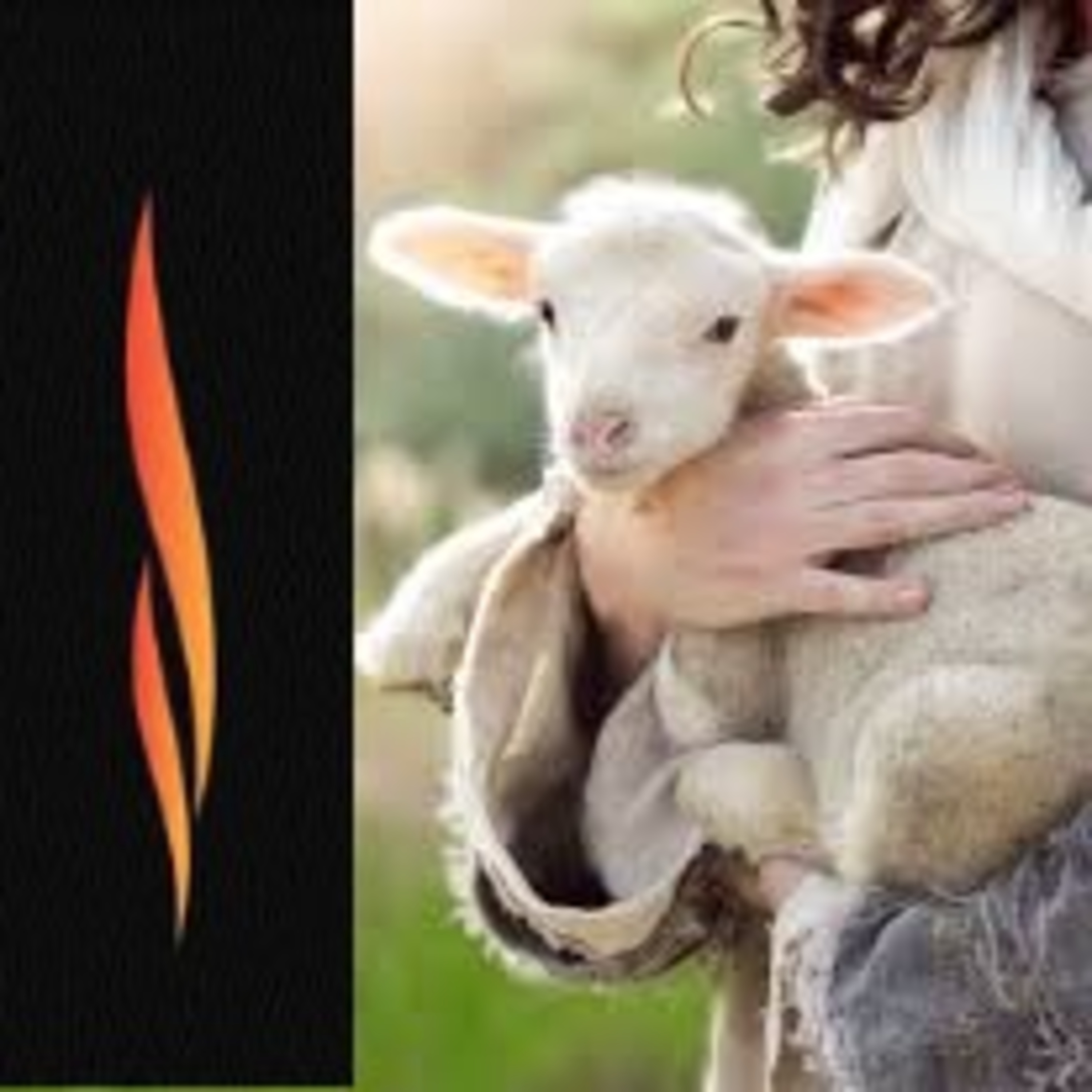 Psalm 23:6 My Shepherd Pursue Me Always episode artwork