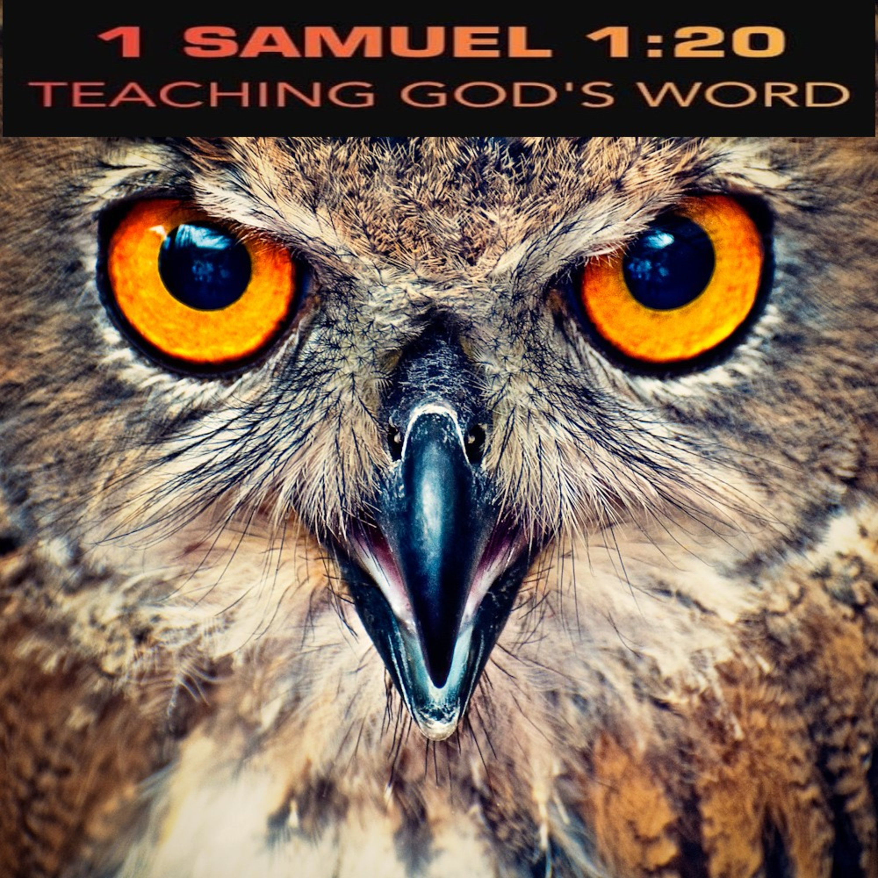 Proverbs 4:25-27 Eyes Like Birds of Prey episode artwork