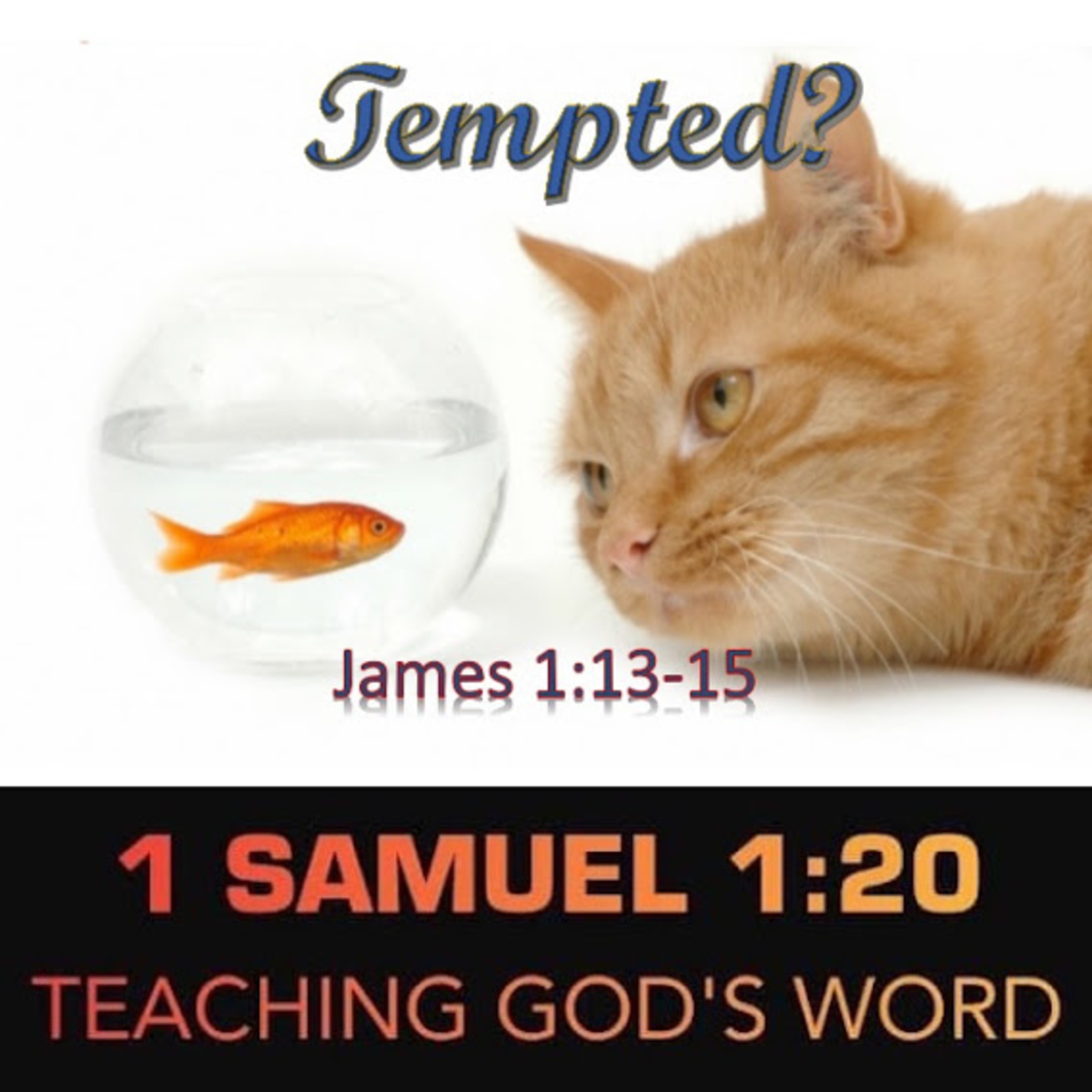 James 1:13-15 Lead Me Not episode artwork