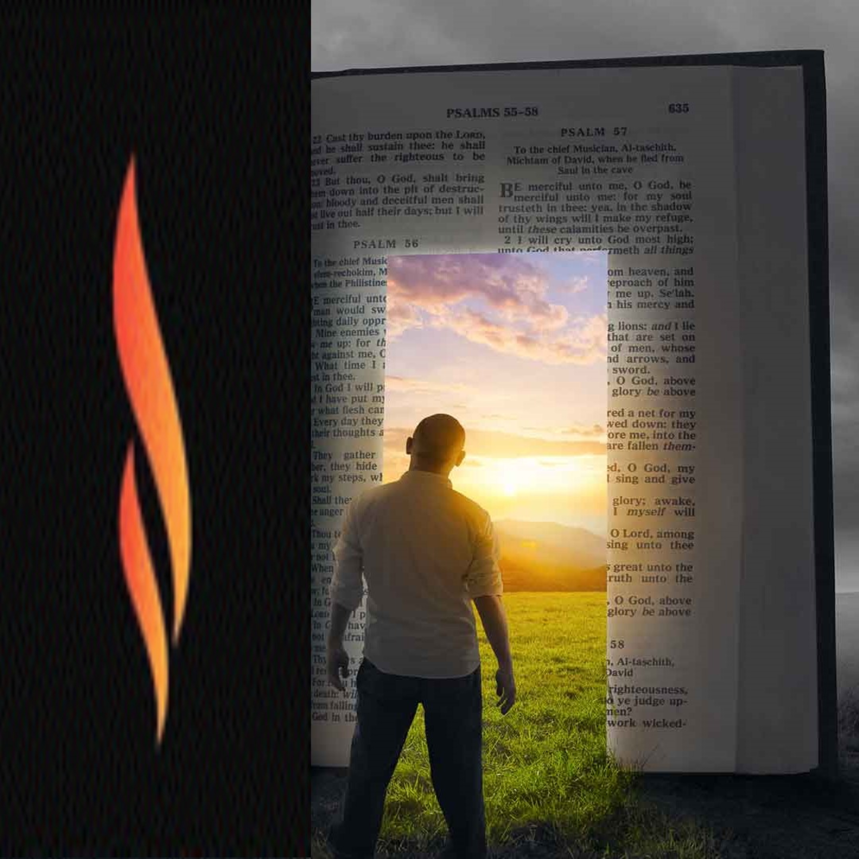 Proverbs 8:32-36 Do You Love God’s Wisdom episode artwork
