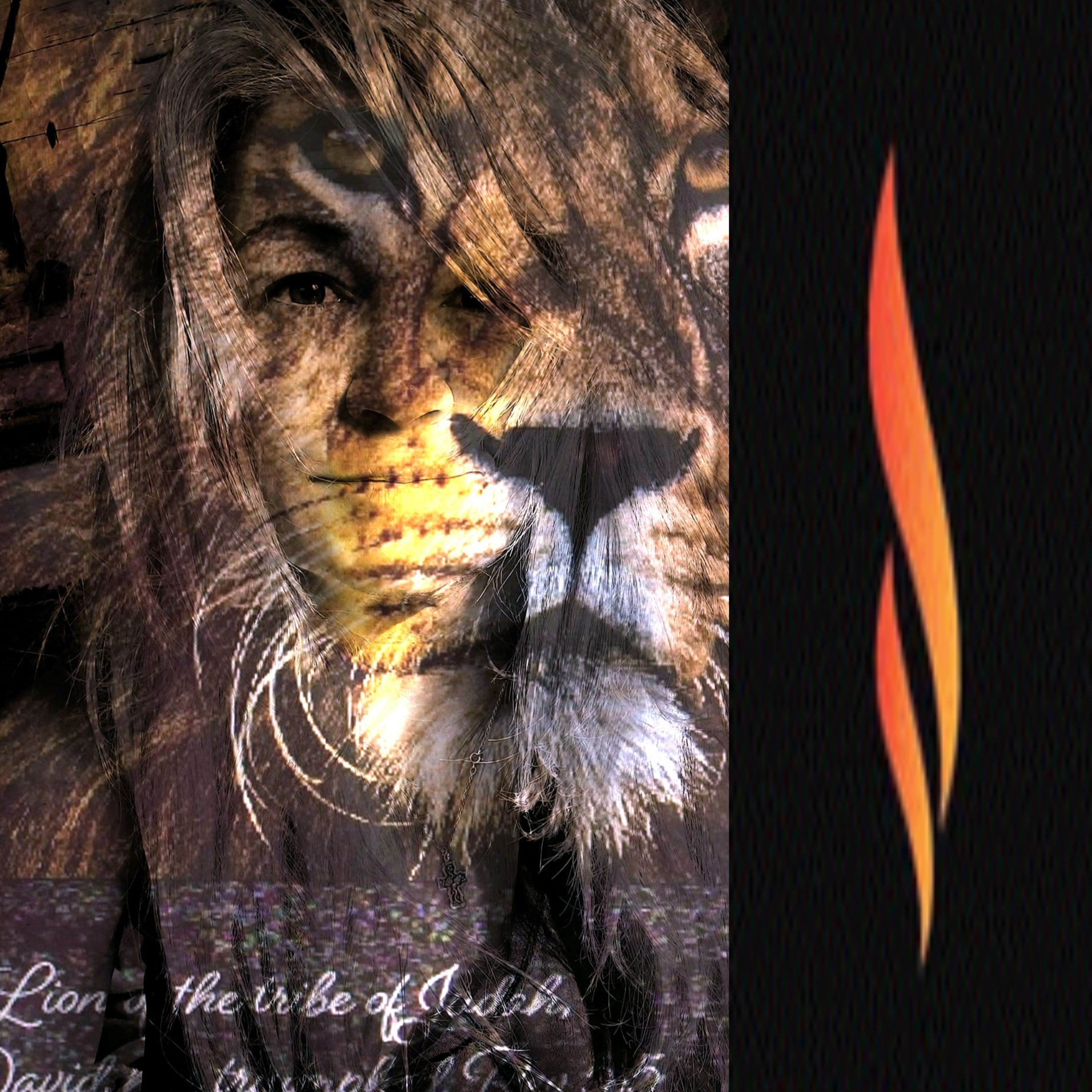 Revelation 14:4-5 The Virgin Mark episode artwork