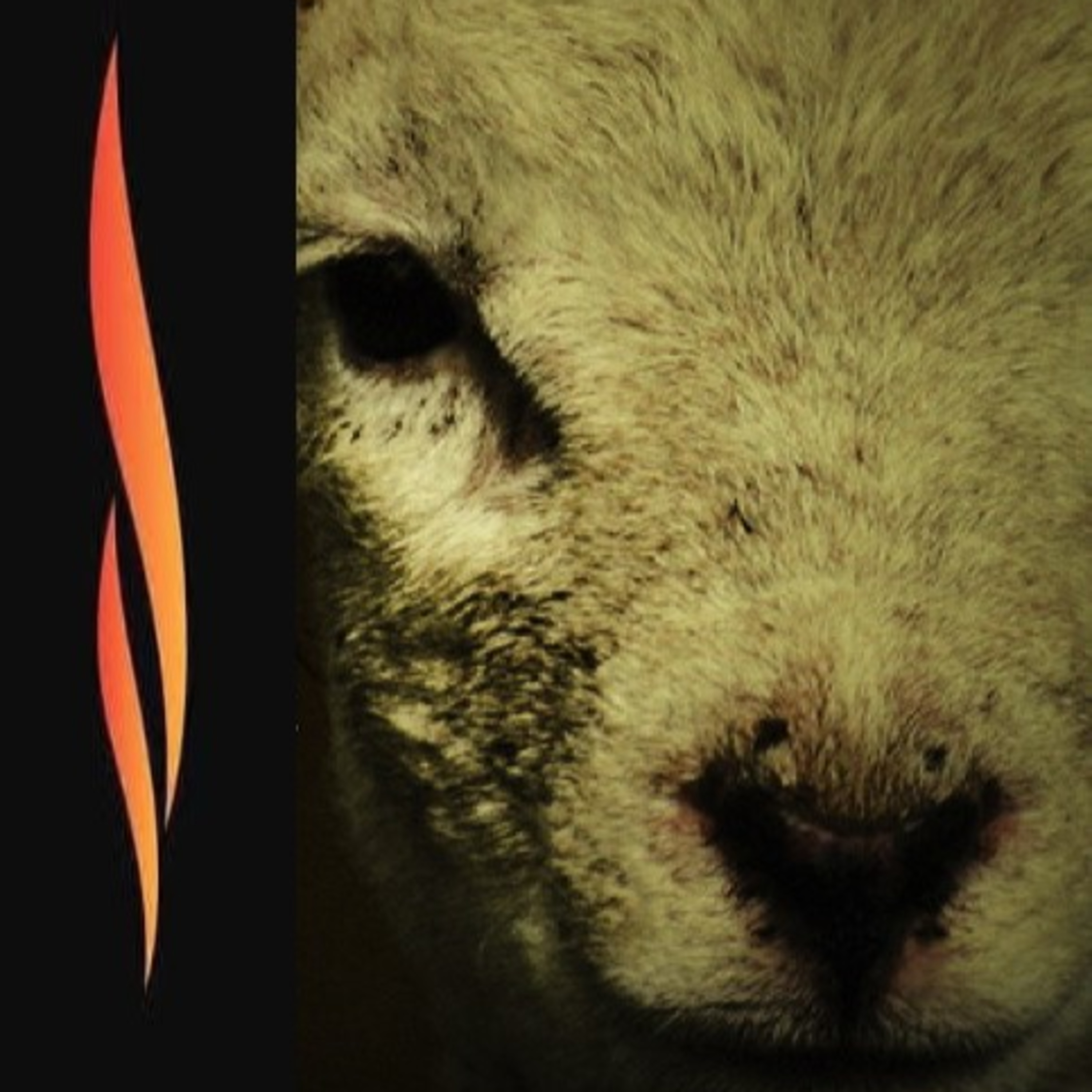 John 1:29 I Will Have My Lamb, Well Done episode artwork