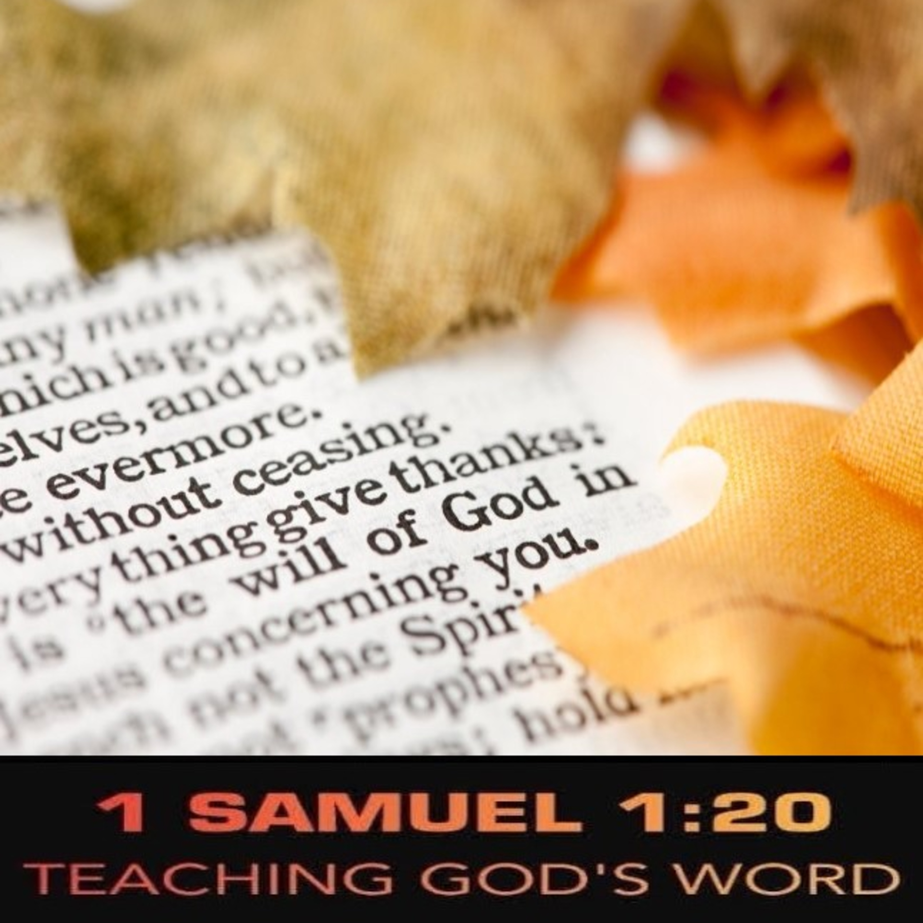 Leviticus 22:29-32 We Give Thanks episode artwork