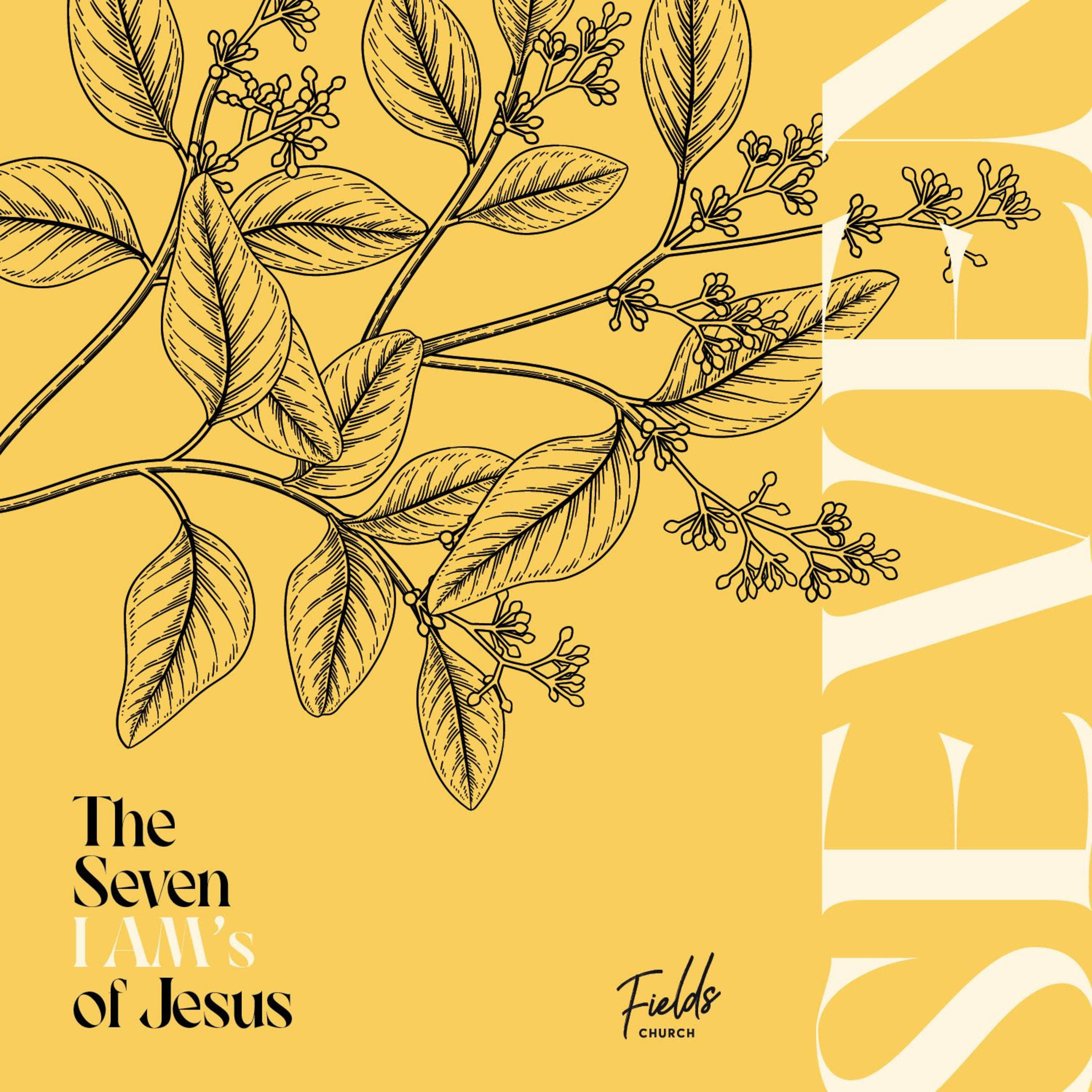 The Seven I Am's Of Jesus - John Eldridge - 05/12/2021