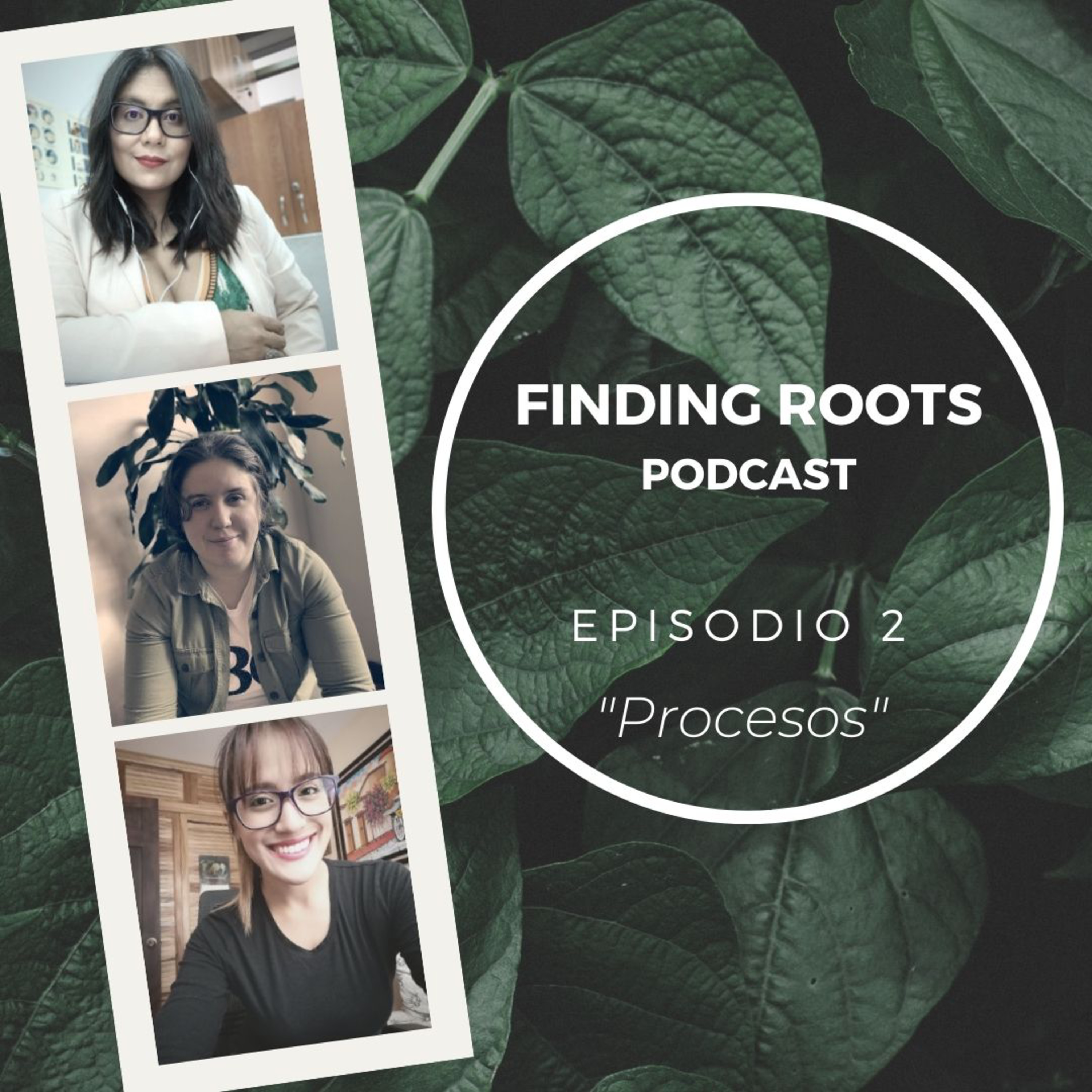 Finding Roots
