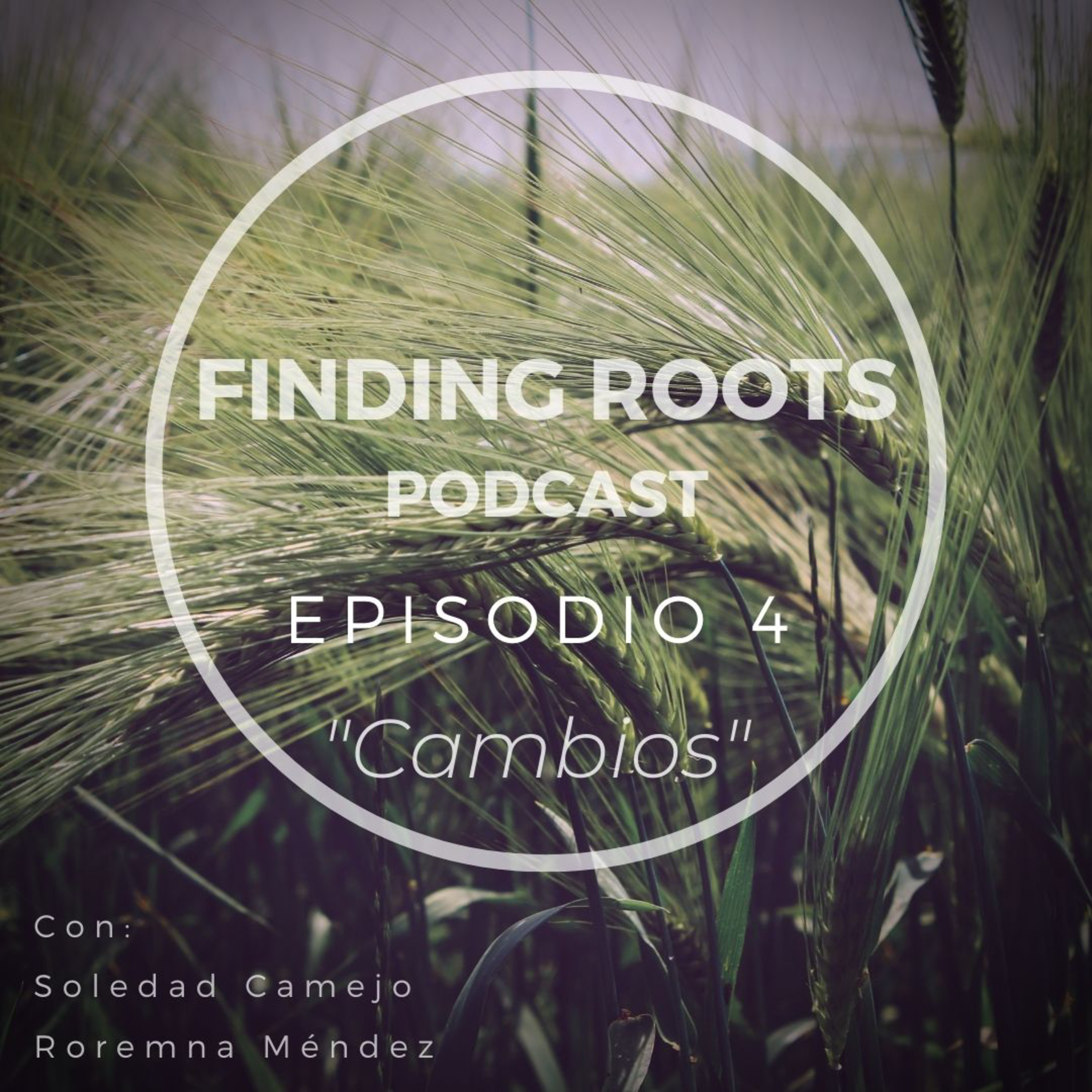 Finding Roots