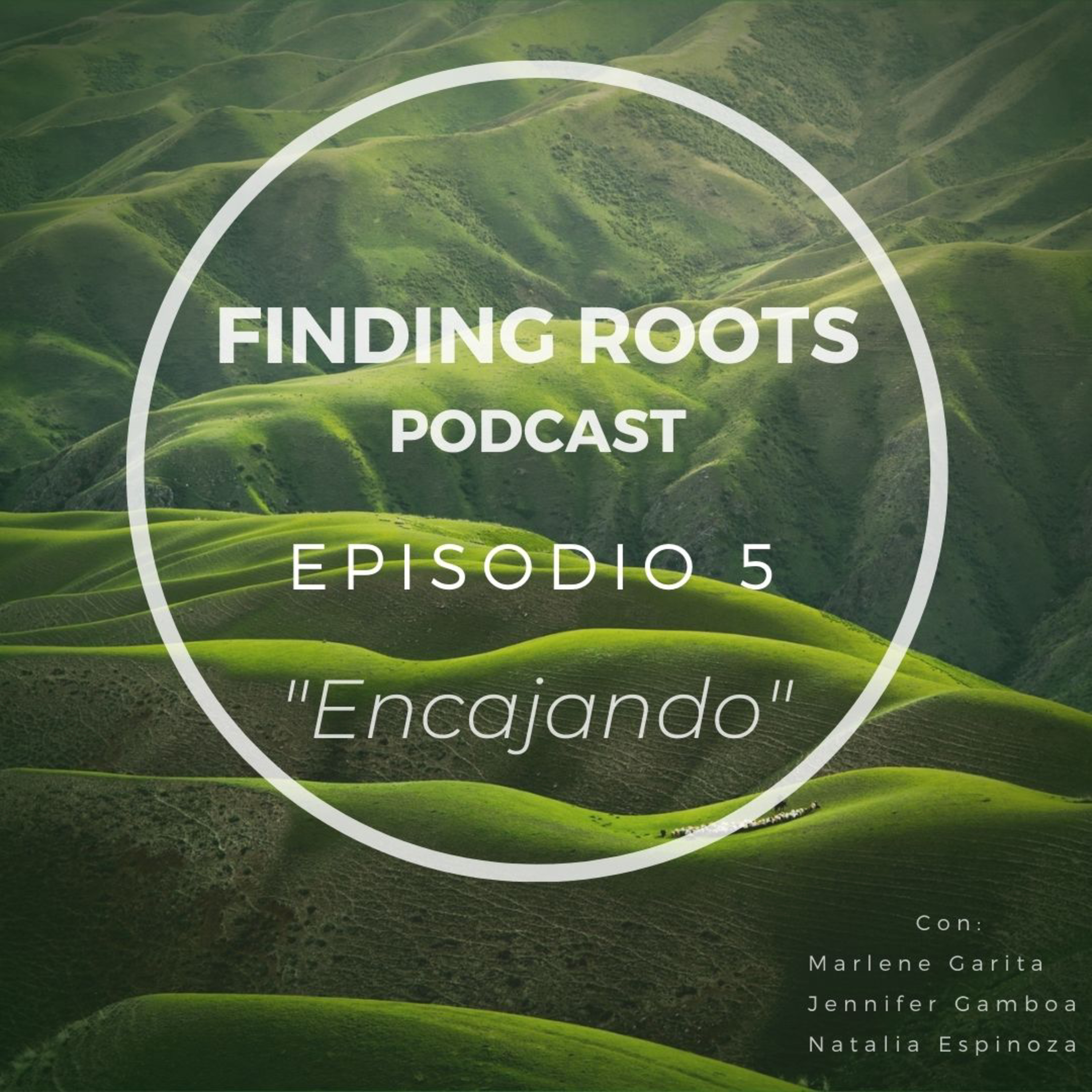 Finding Roots