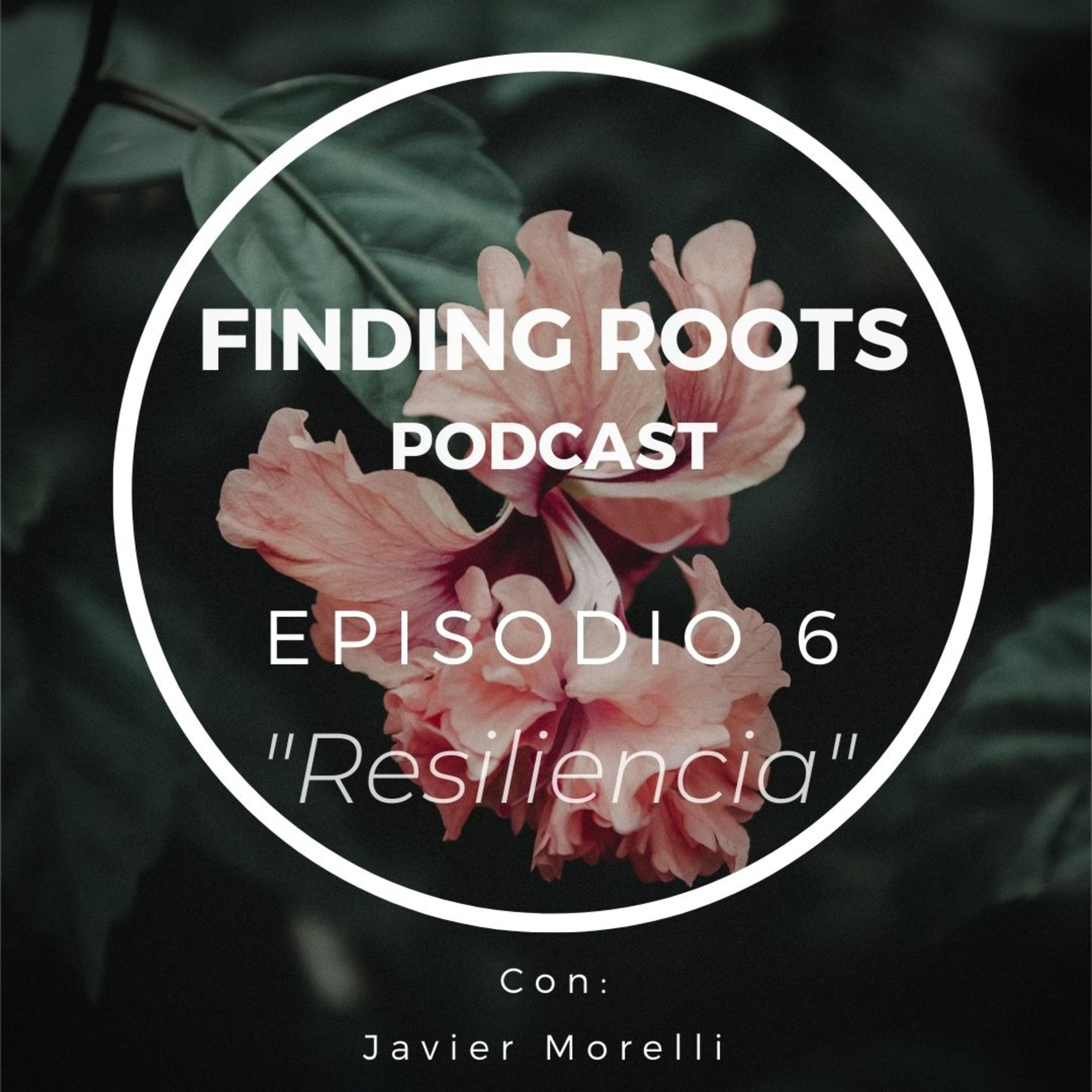 Finding Roots