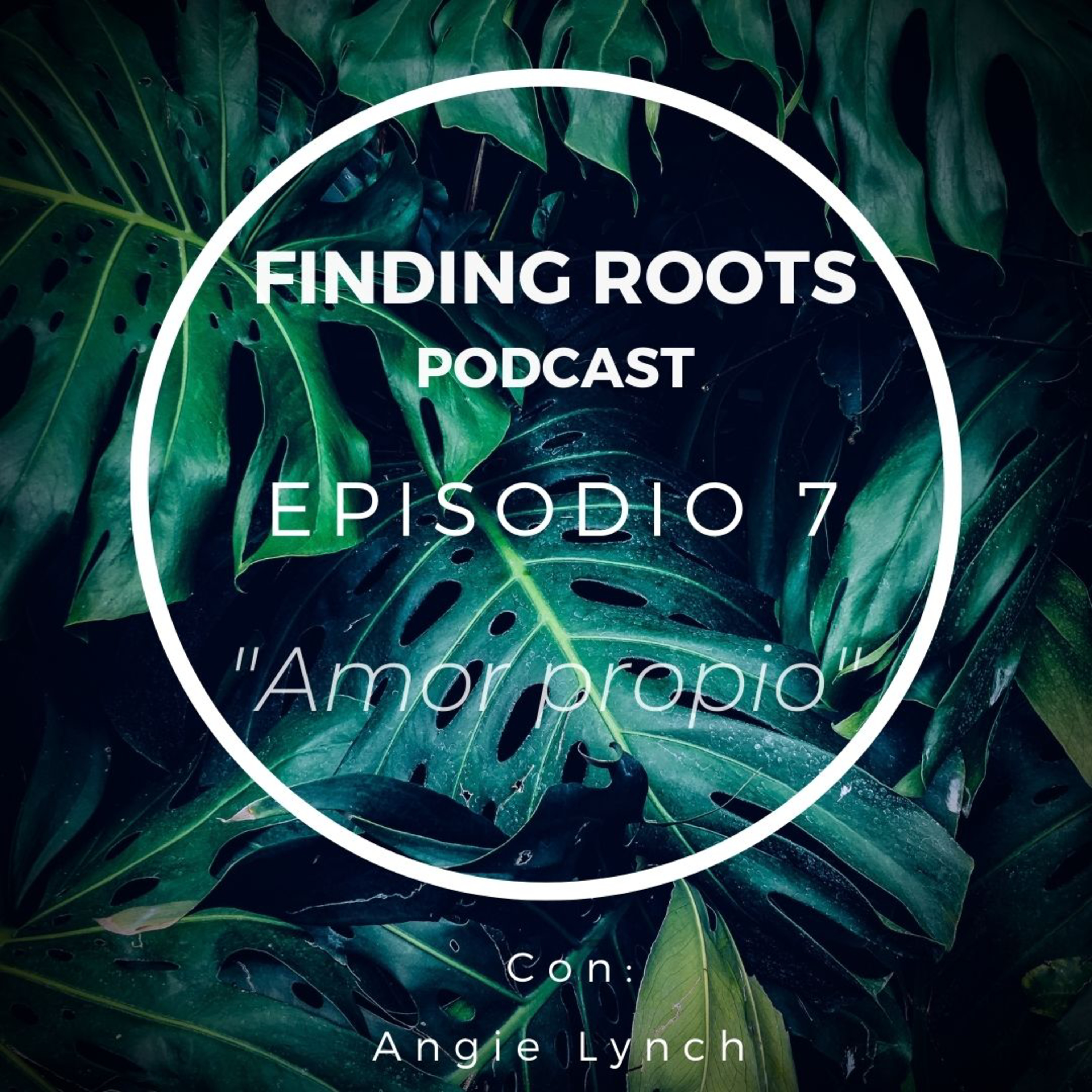 Finding Roots