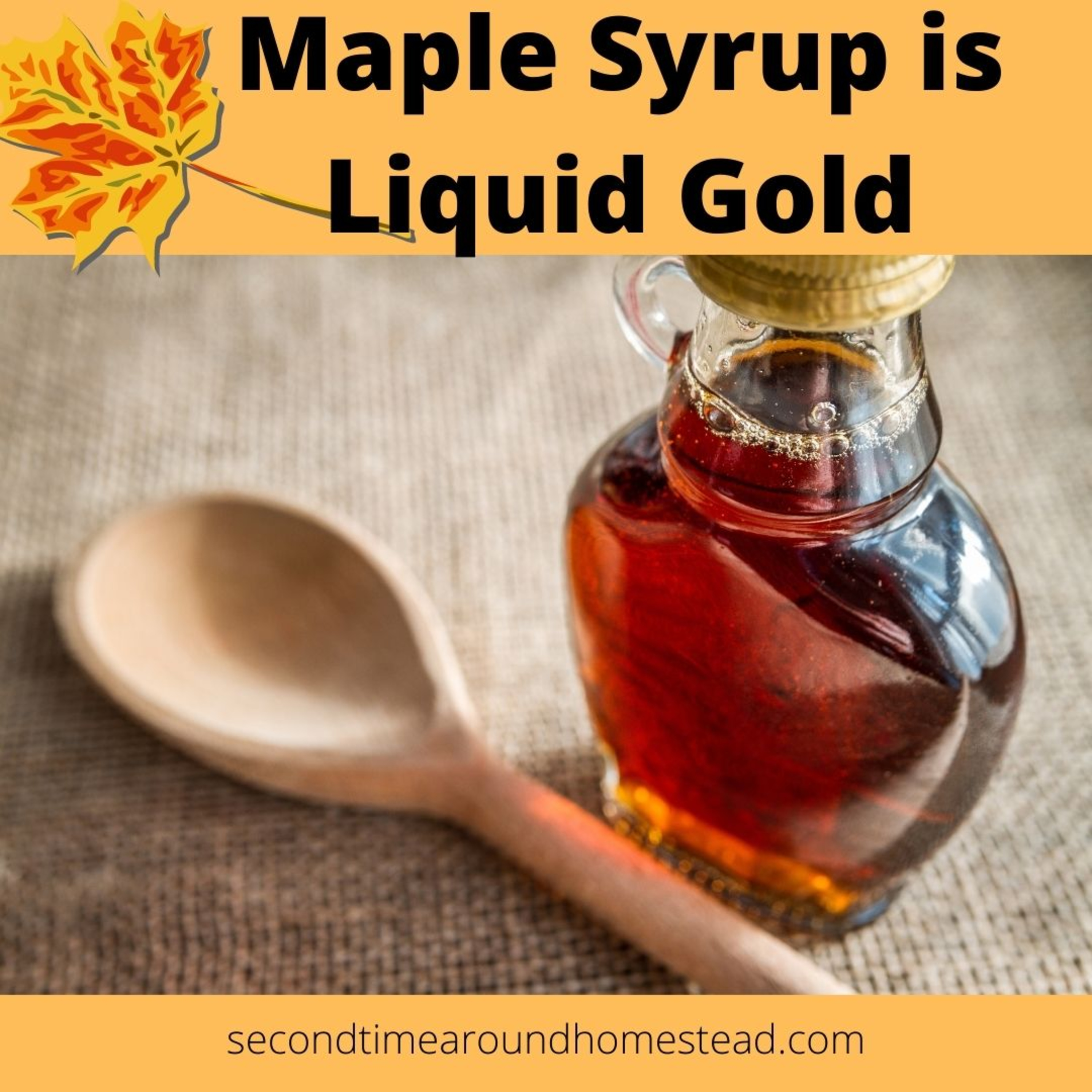Come Join Our Sweet Season – Maple Sugaring Season episode artwork