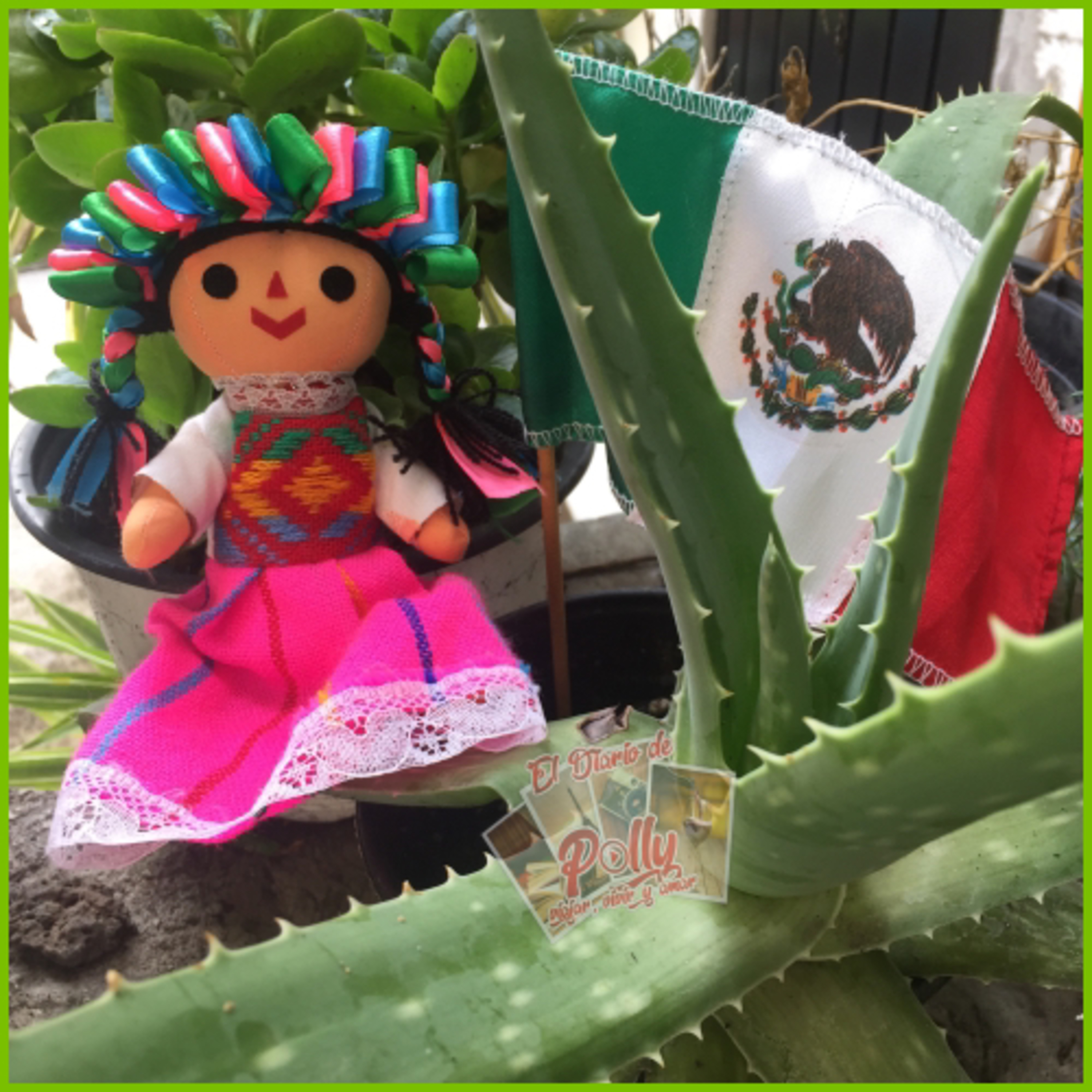 “México: colores, tradiciones, historia, música, paisajes...México en la piel.” episode artwork