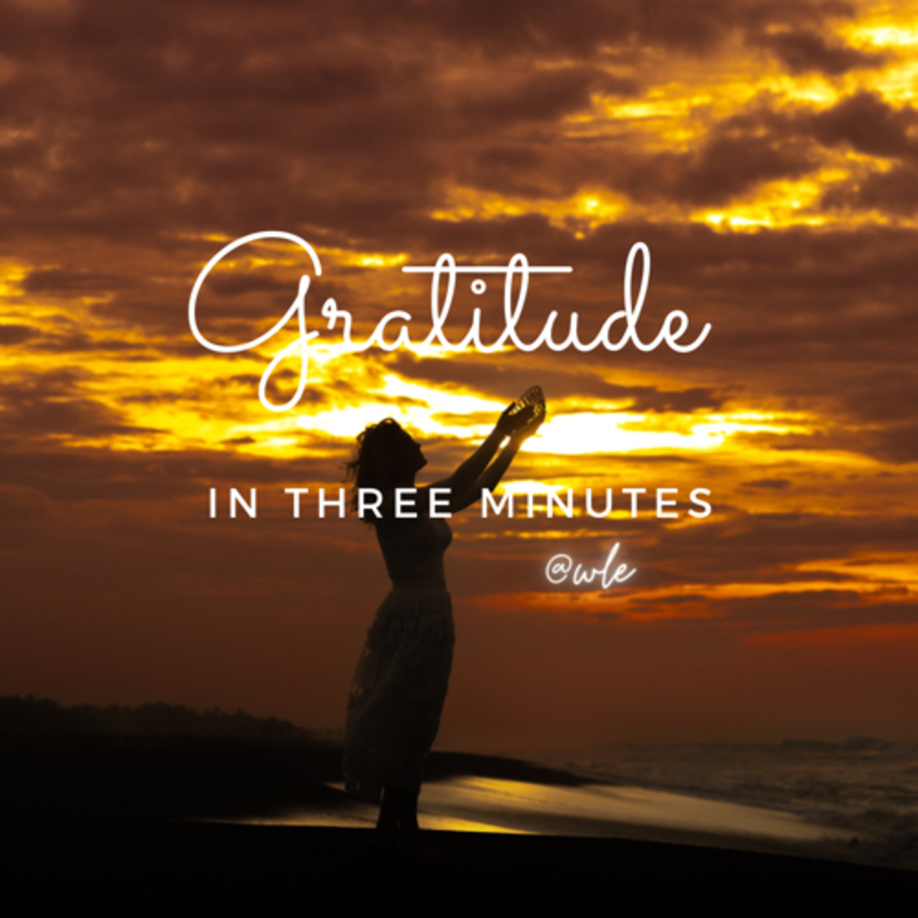 Gratitude in 3 Minutes  episode artwork