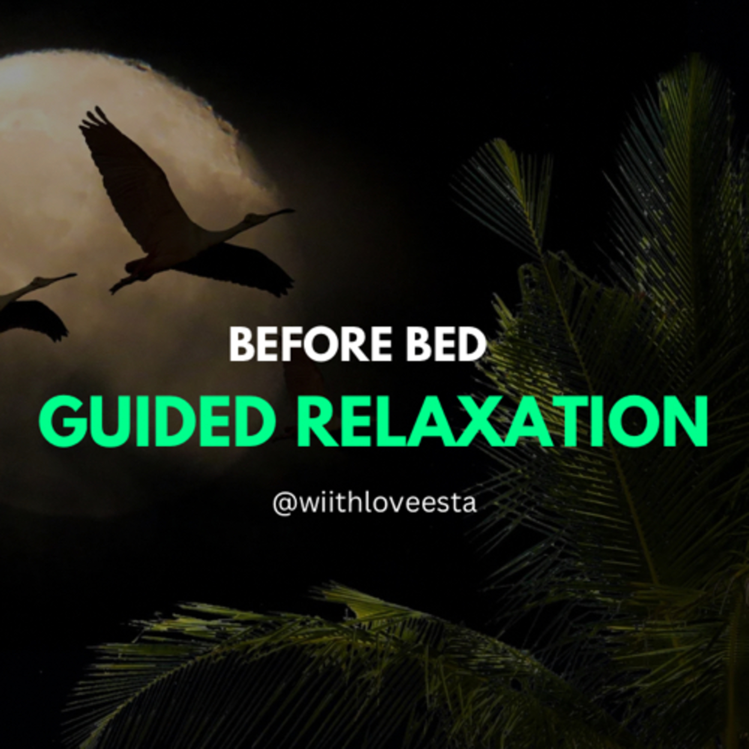 Before Bed Meditation  episode artwork