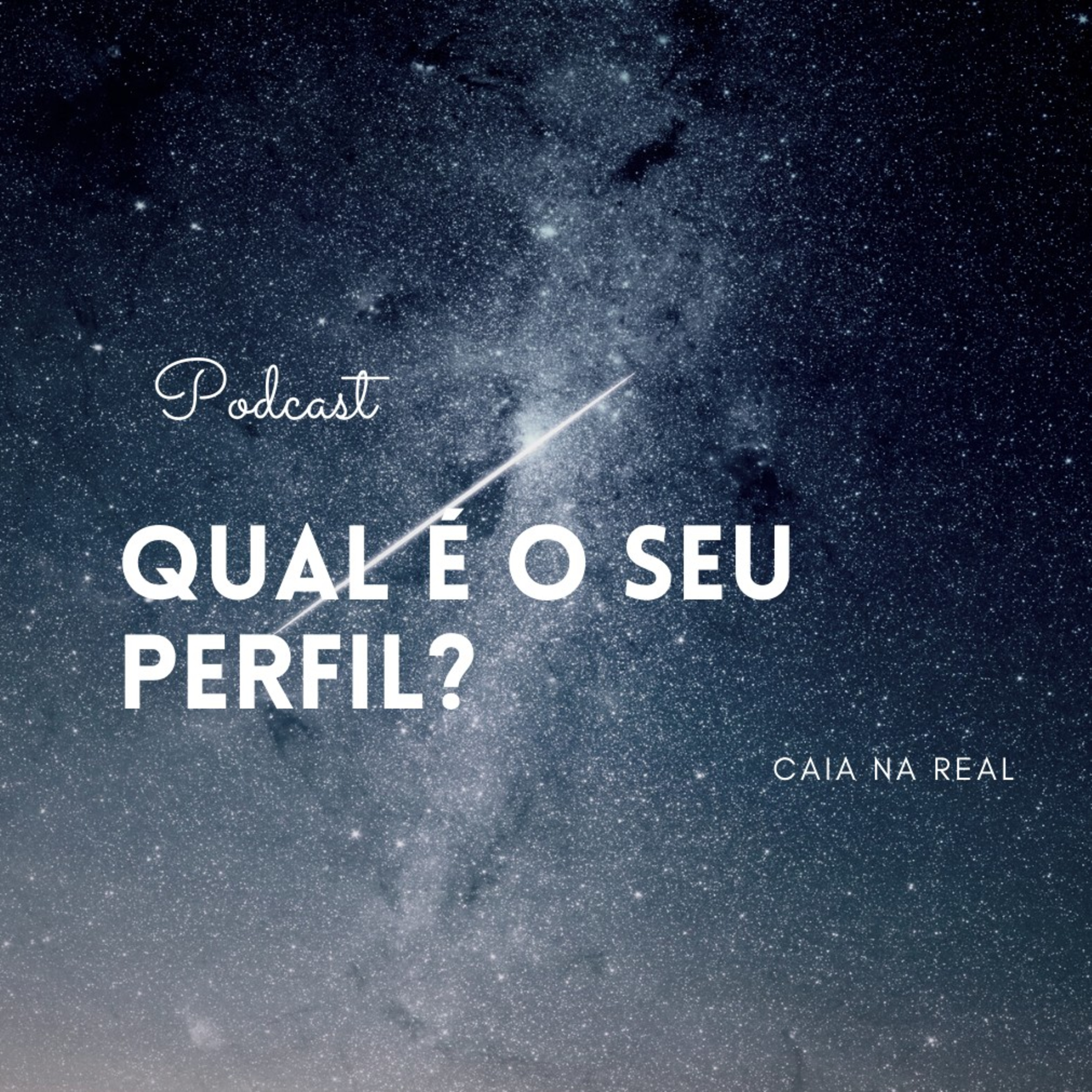 Qual é o seu perfil? episode artwork