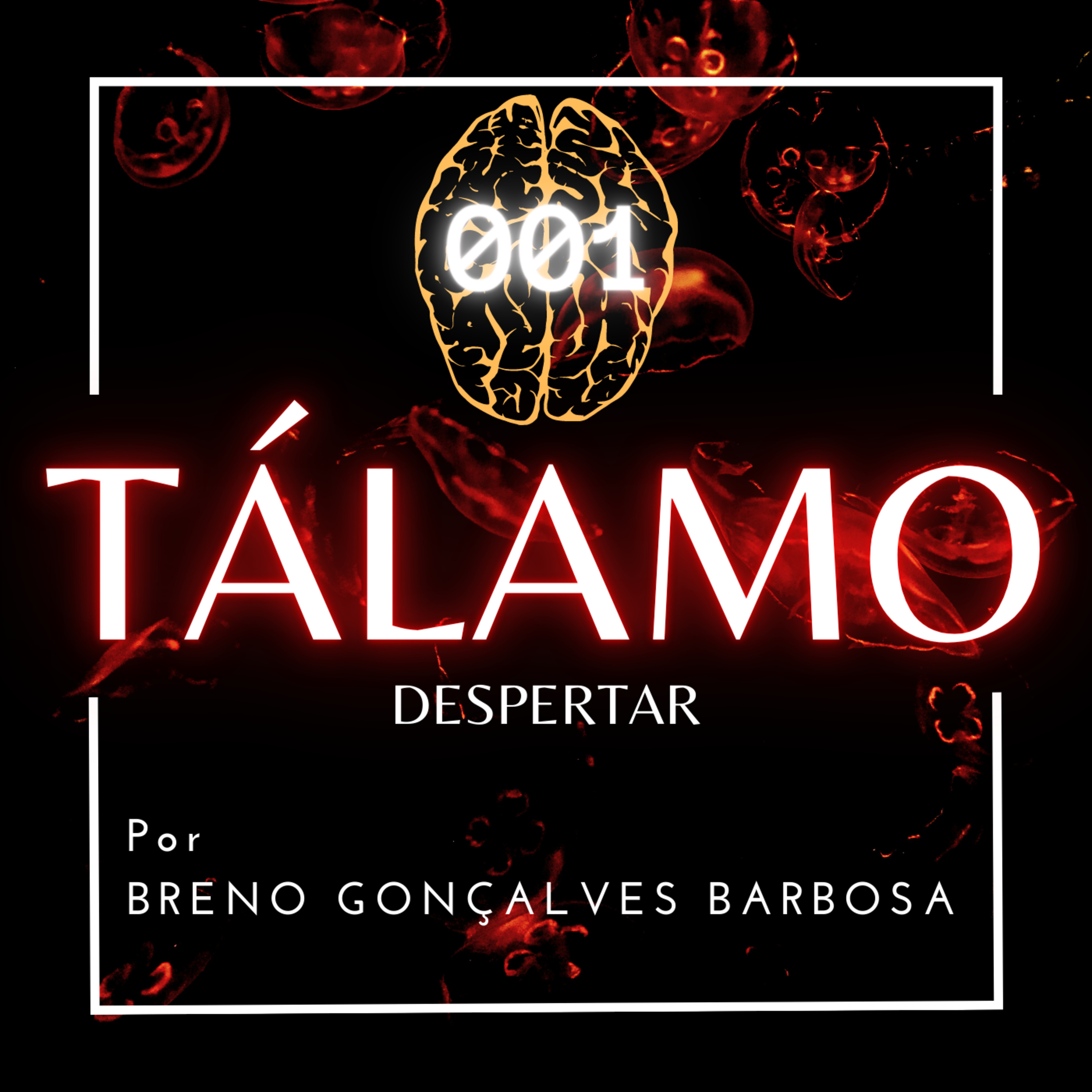 Tálamo