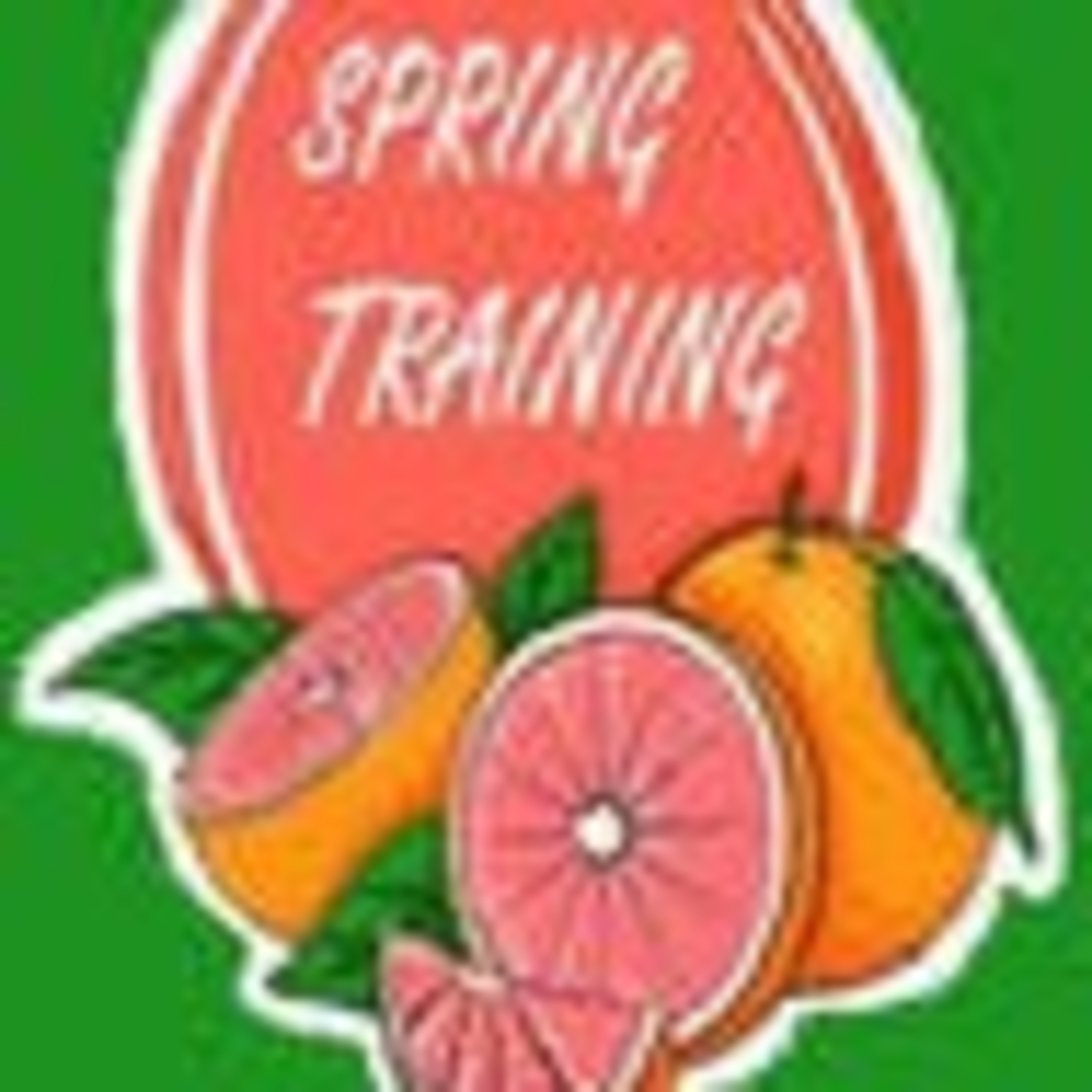 Just 2 weeks left in Spring Training! Who is making a case for a Roster Spot?