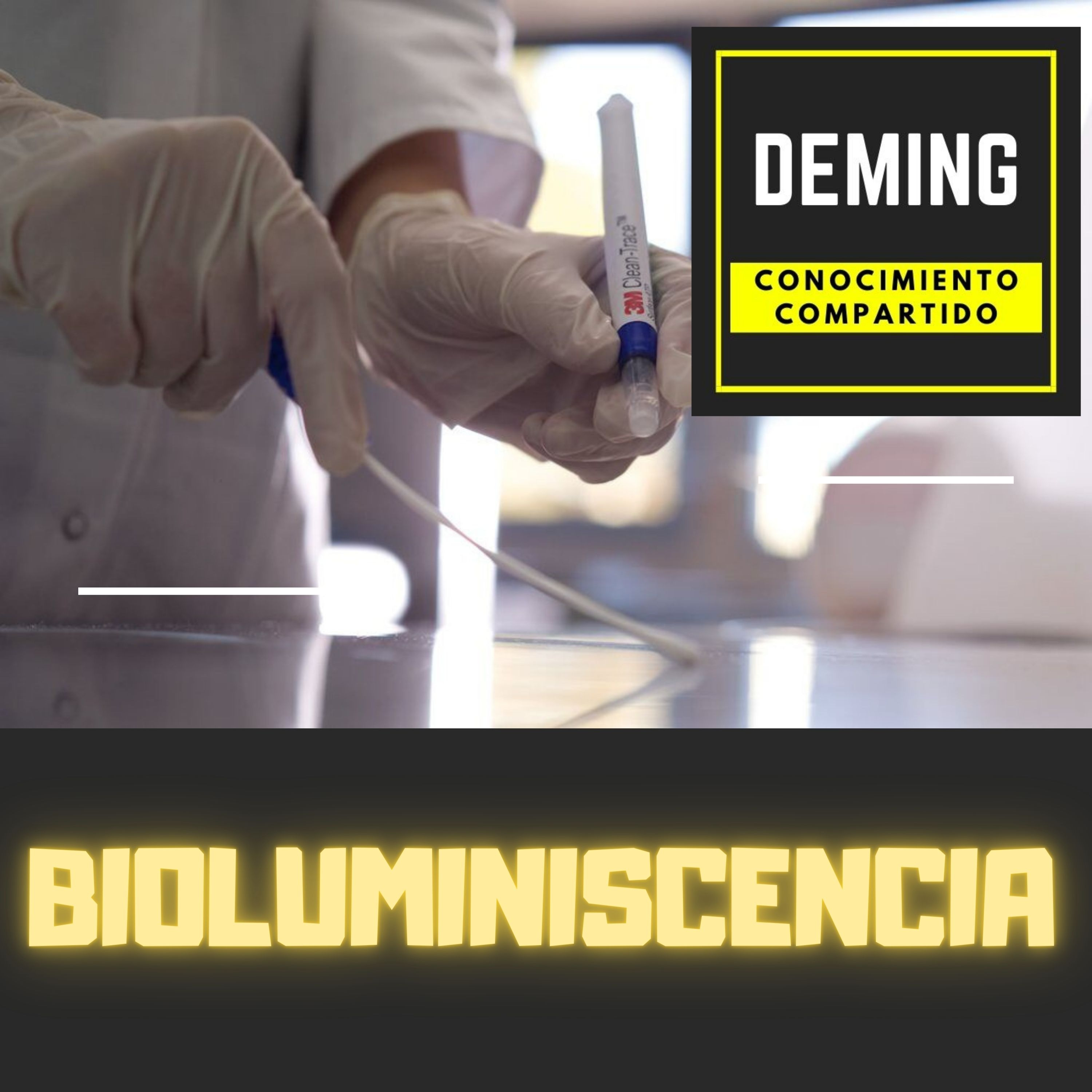 CONOCIMIENTO COMPARTIDO