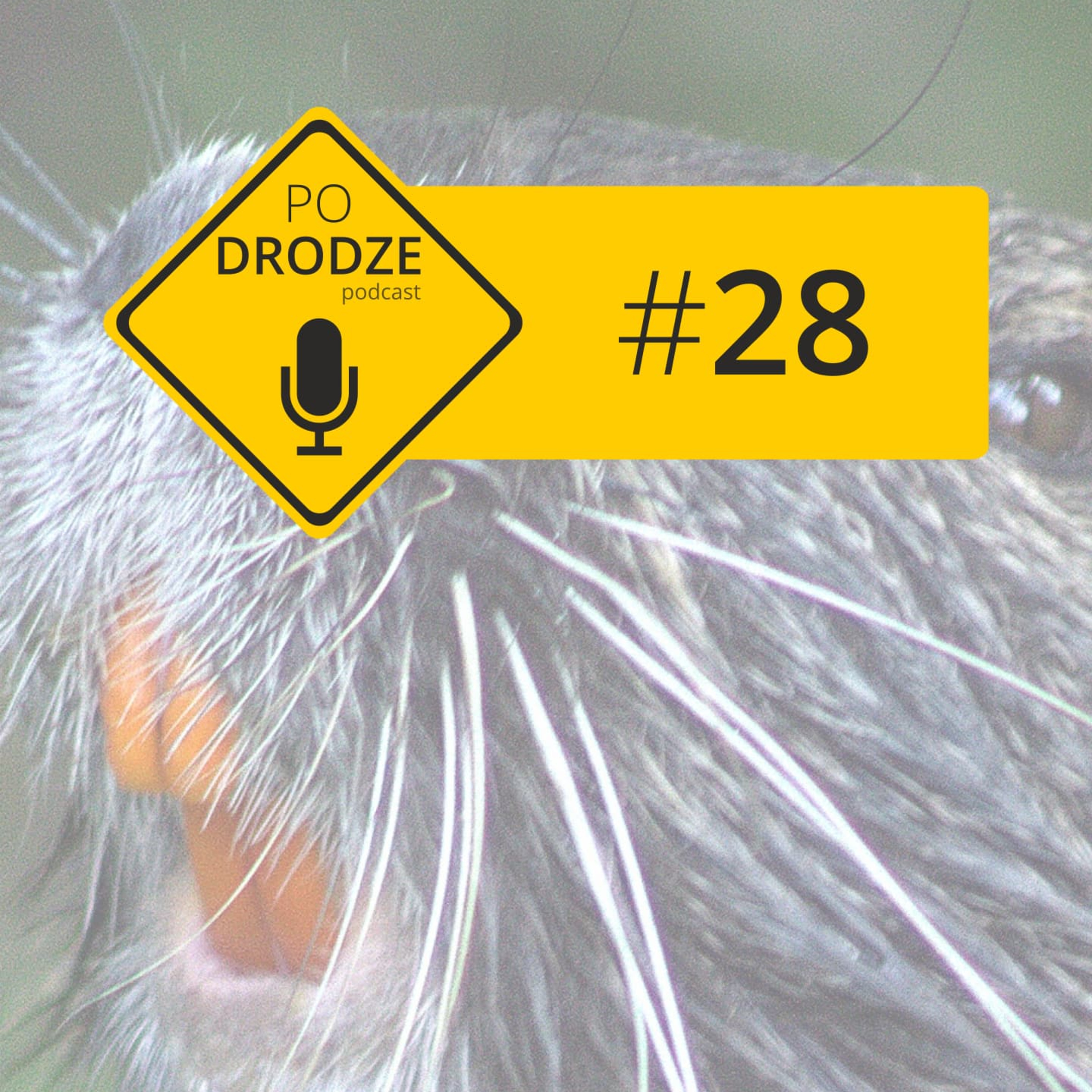 Po Drodze podcast