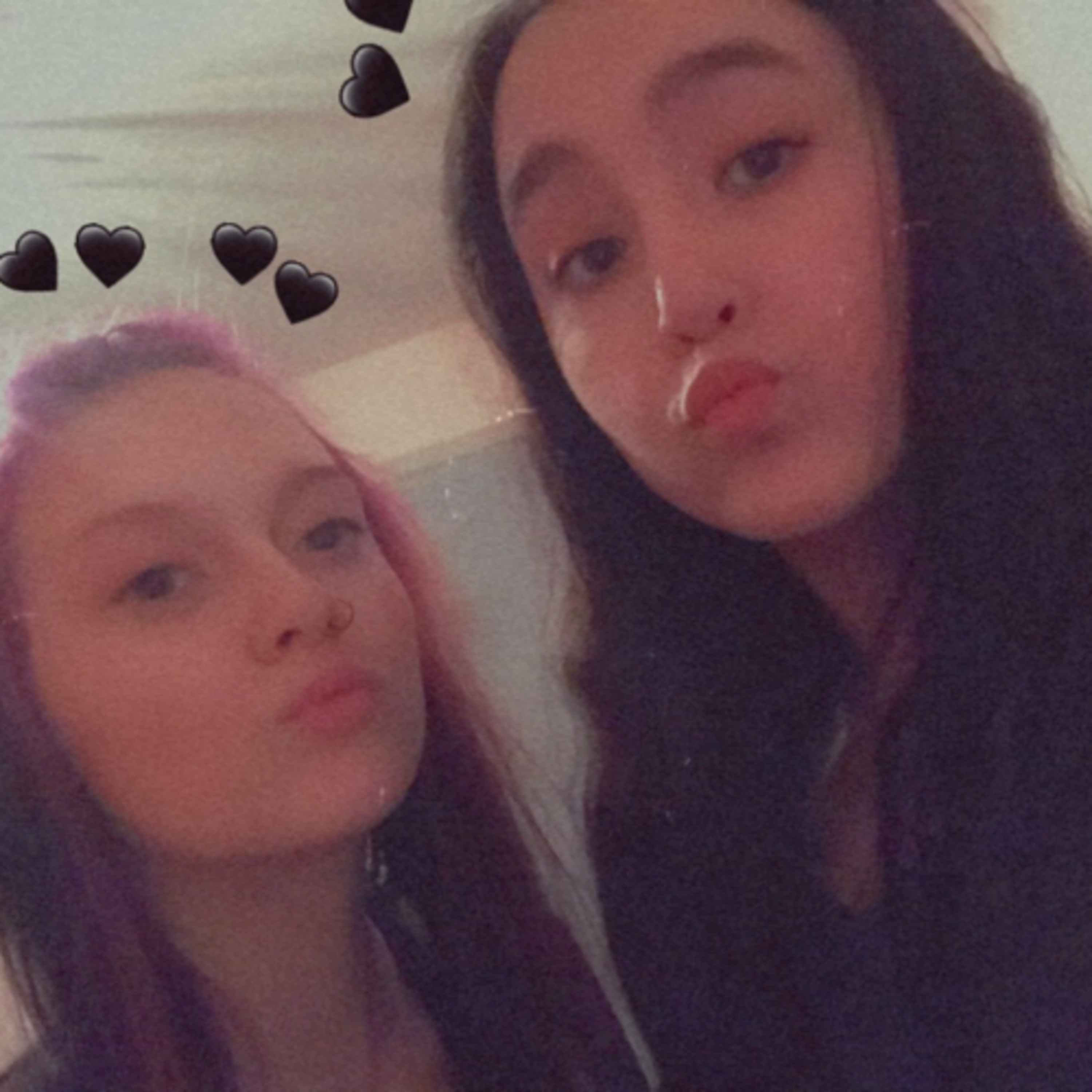 the last 2 bitches