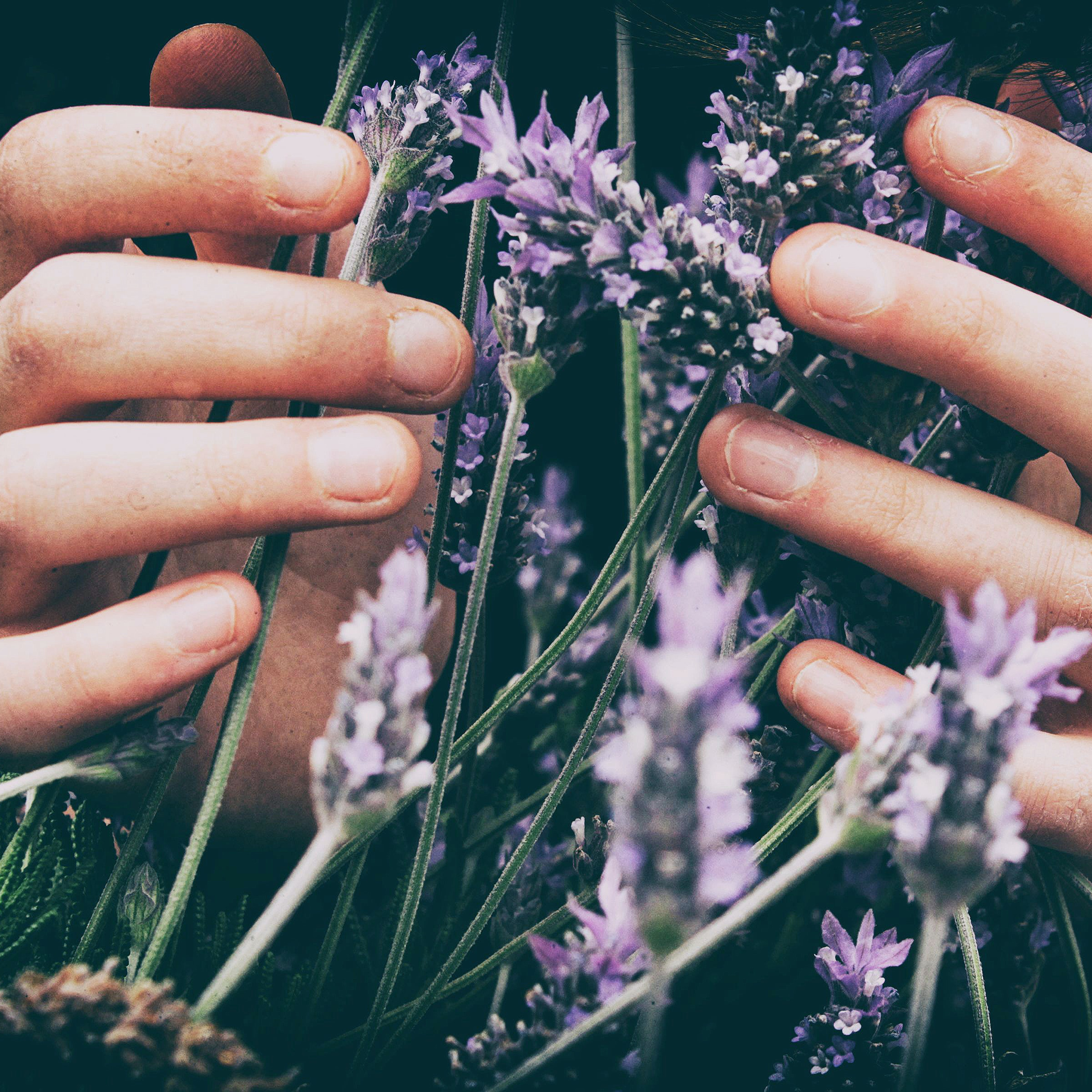Living to Be: A podcast by Reino Gevers