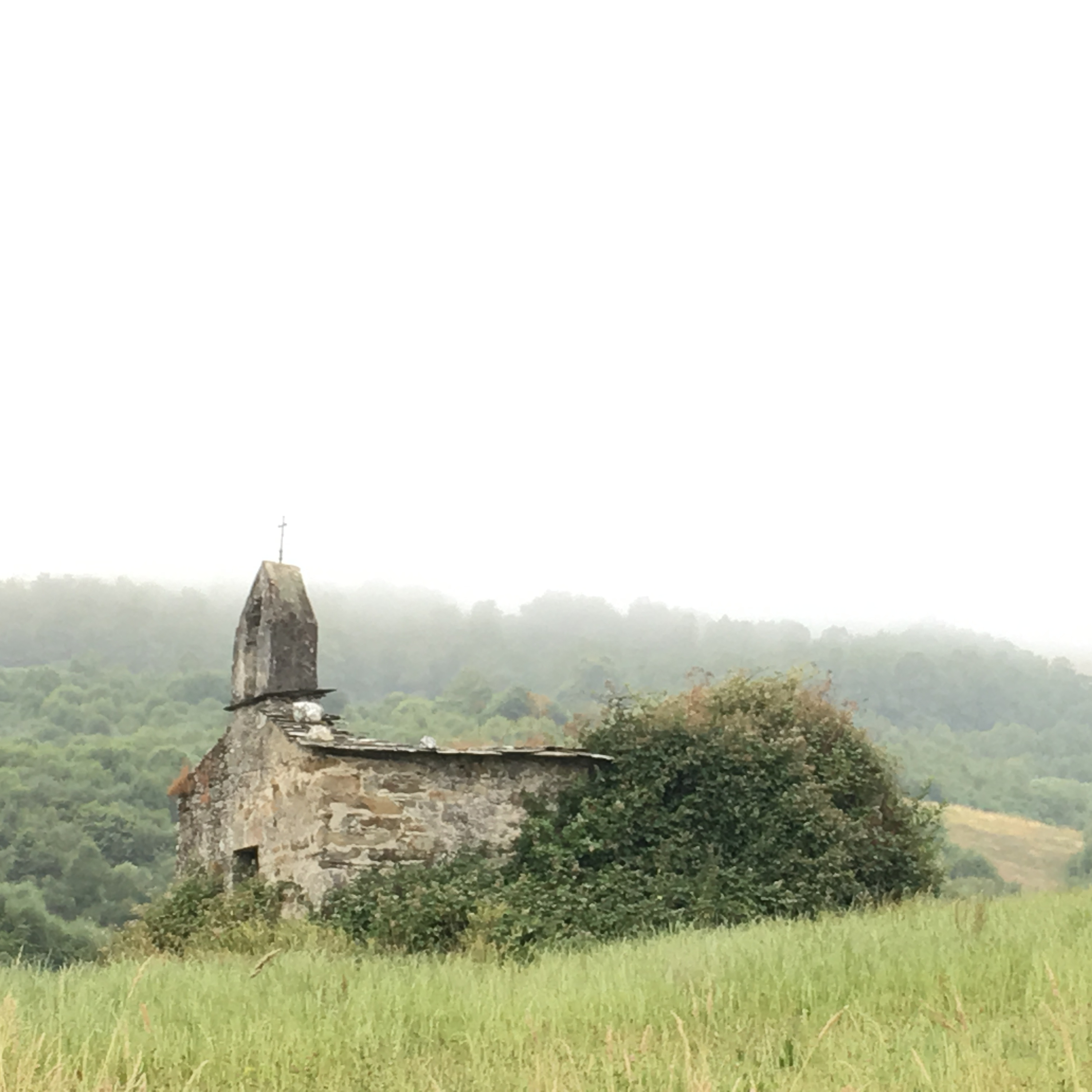 Living to Be: A podcast by Reino Gevers