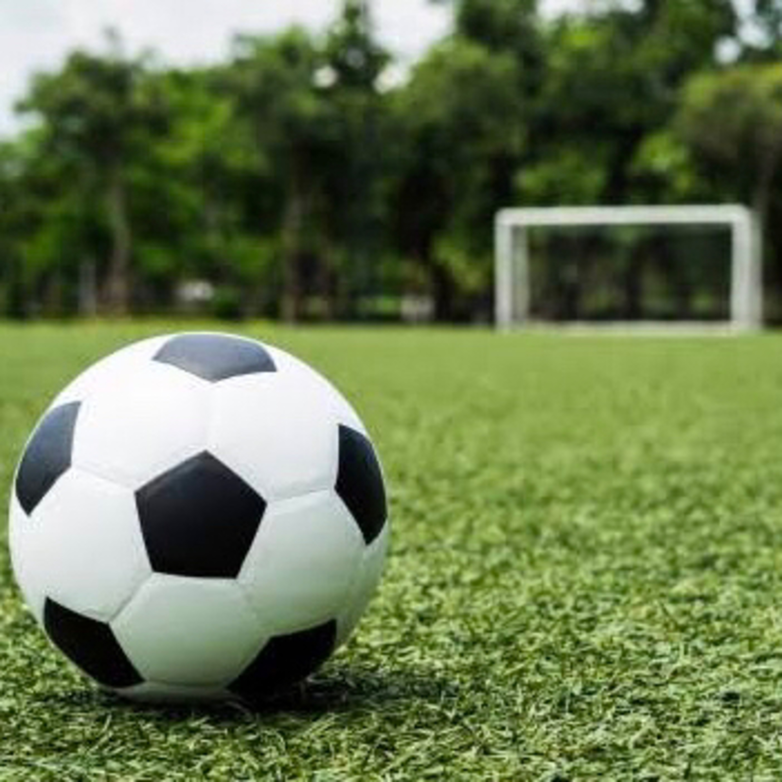 #1 Acabou o Brasileirão! - Nossa seleção do campeonato
