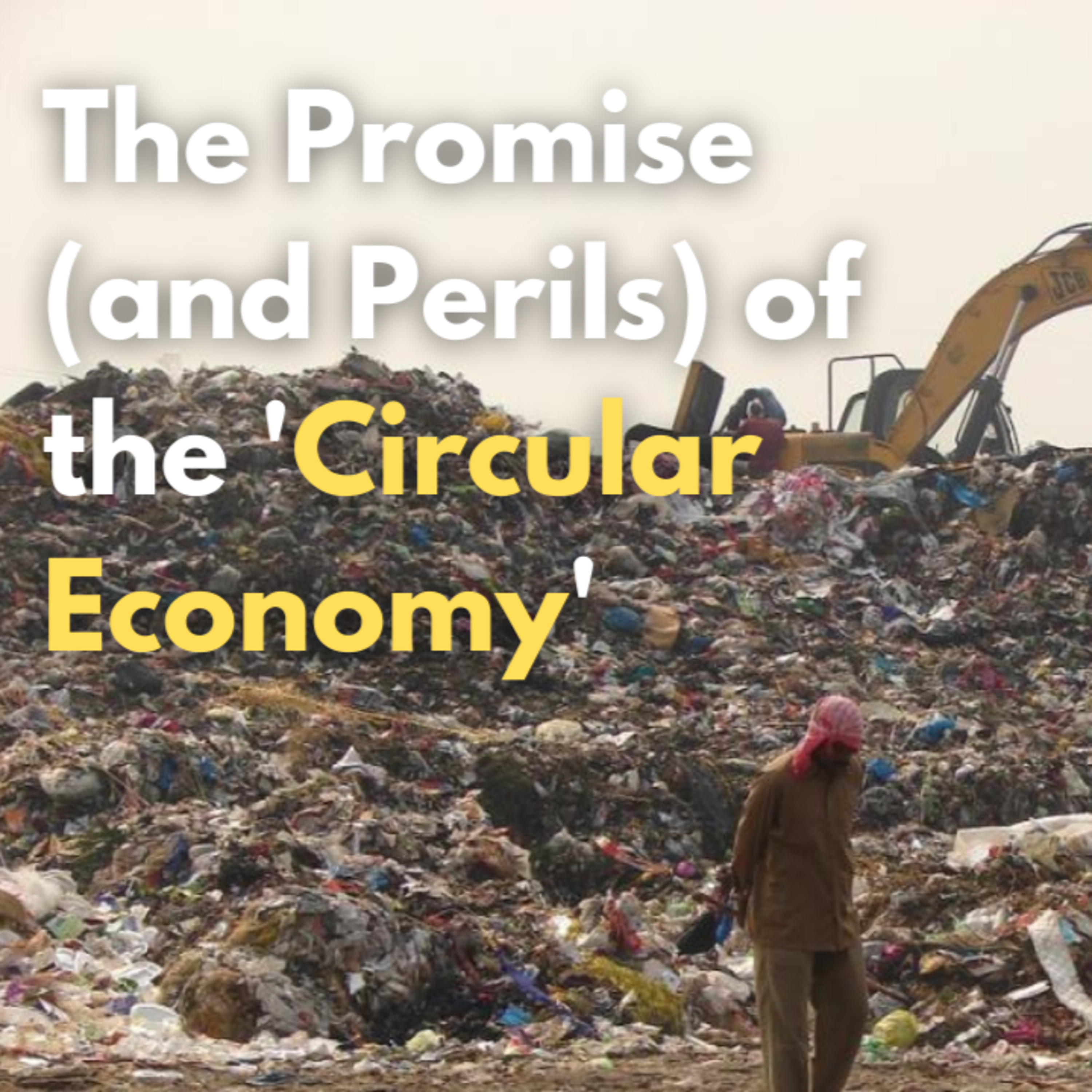 The Promise (and Perils) of the 'Circular Economy' | CNES Columnist Roundtable episode artwork