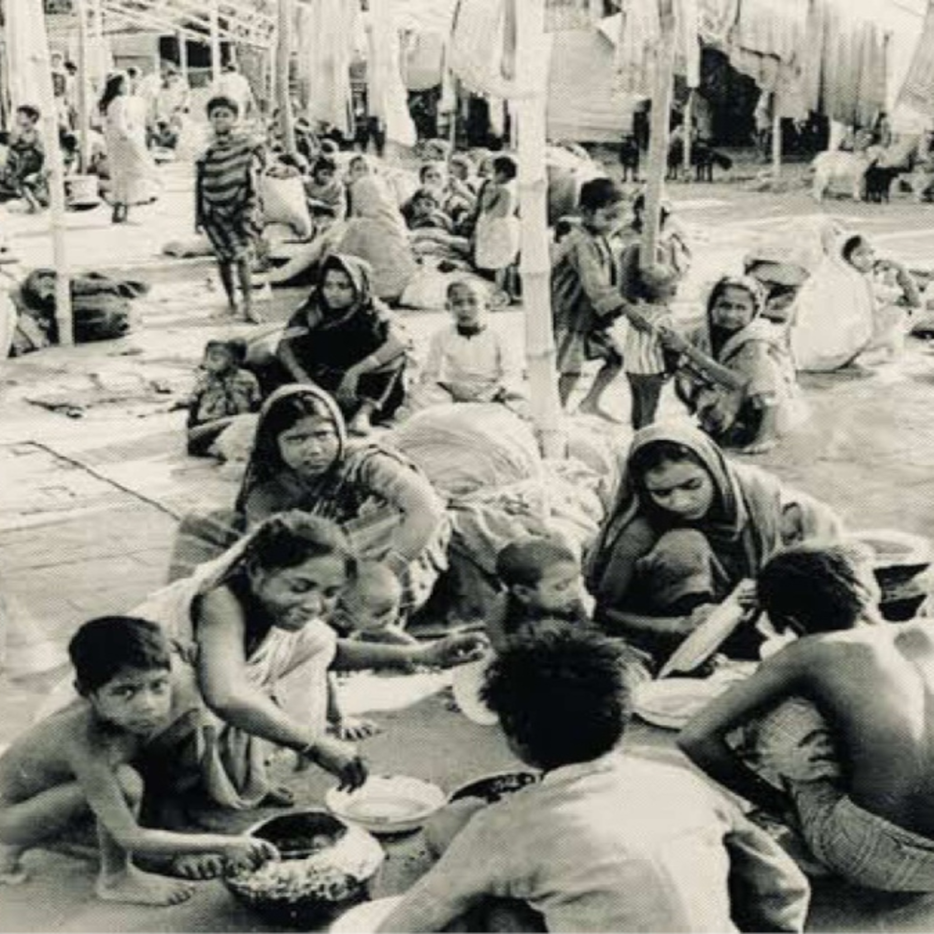 Stories of Humanity amidst Insanity | Book Talk with Professor Trividesh Singh Maini episode artwork