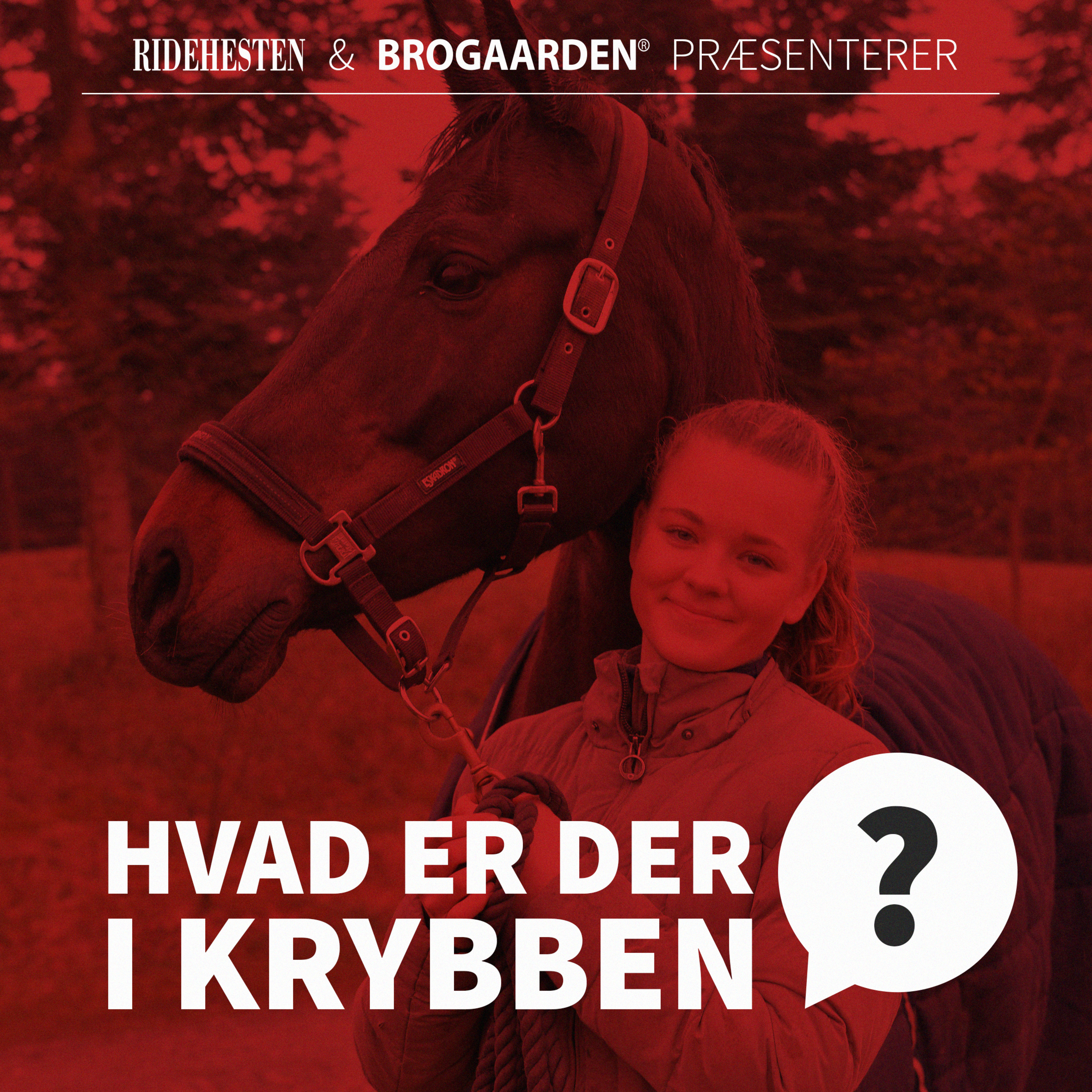 Ridehesten