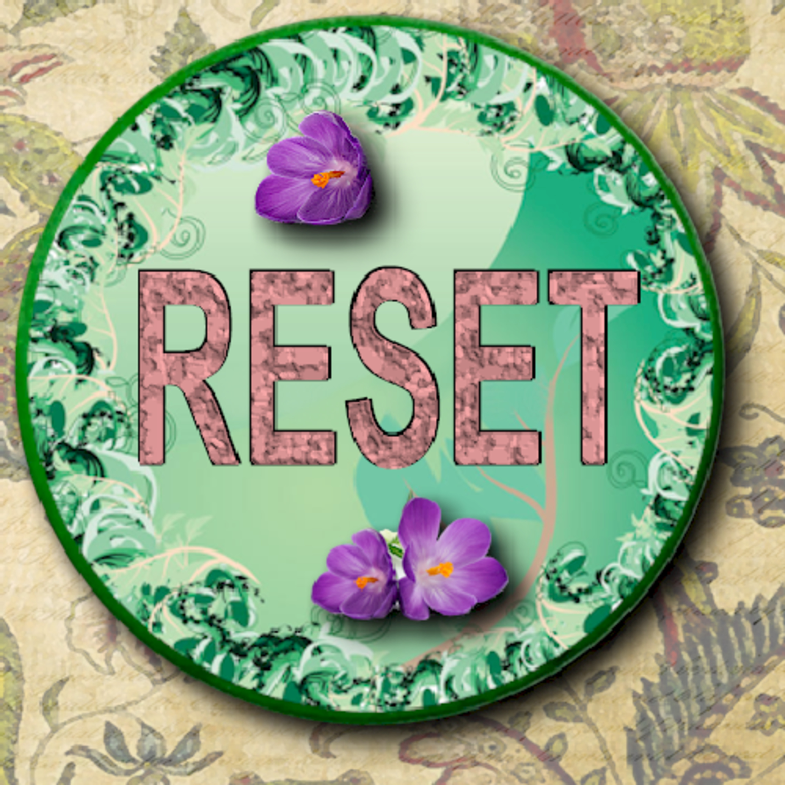 Call to RESET