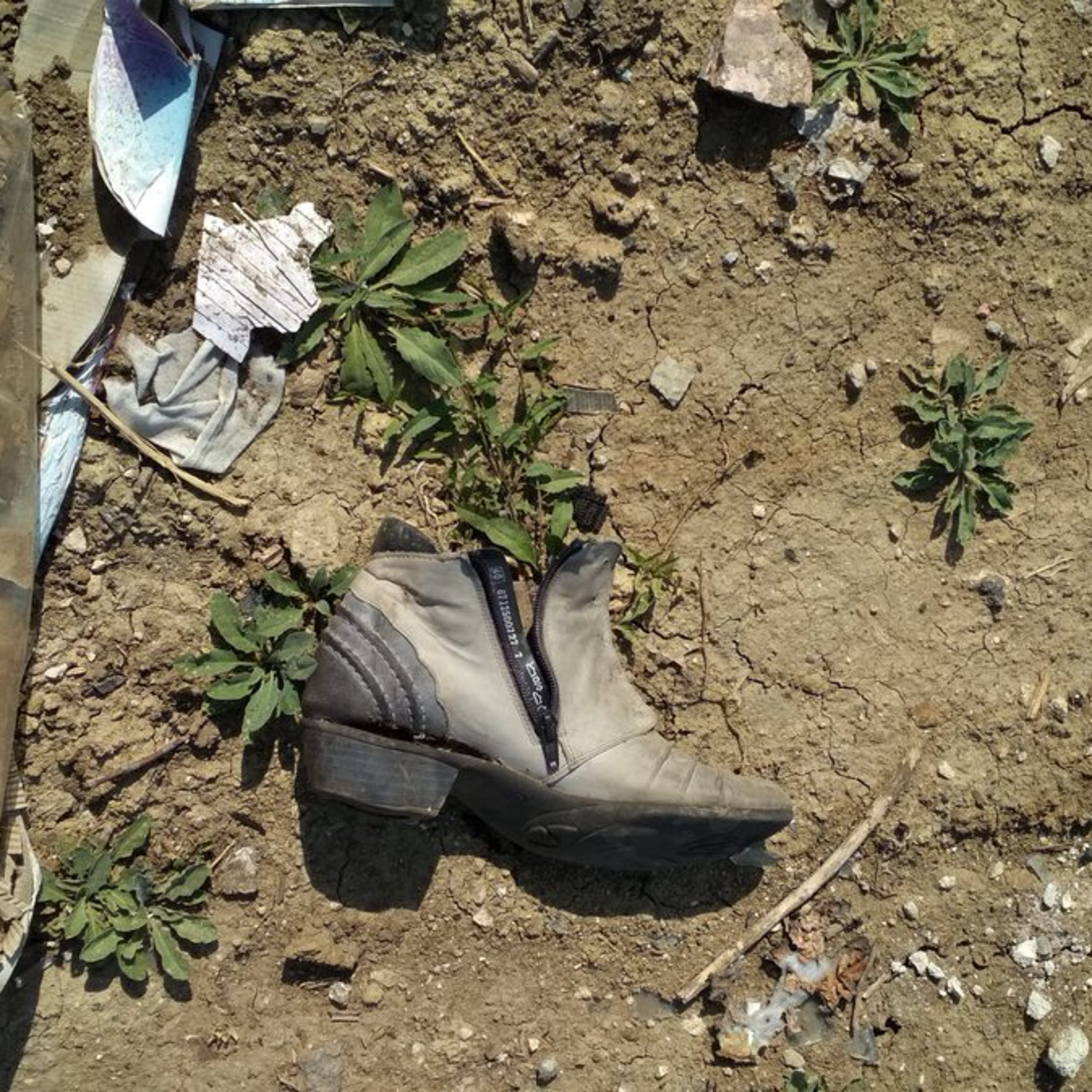 Reportaje Moldova.org