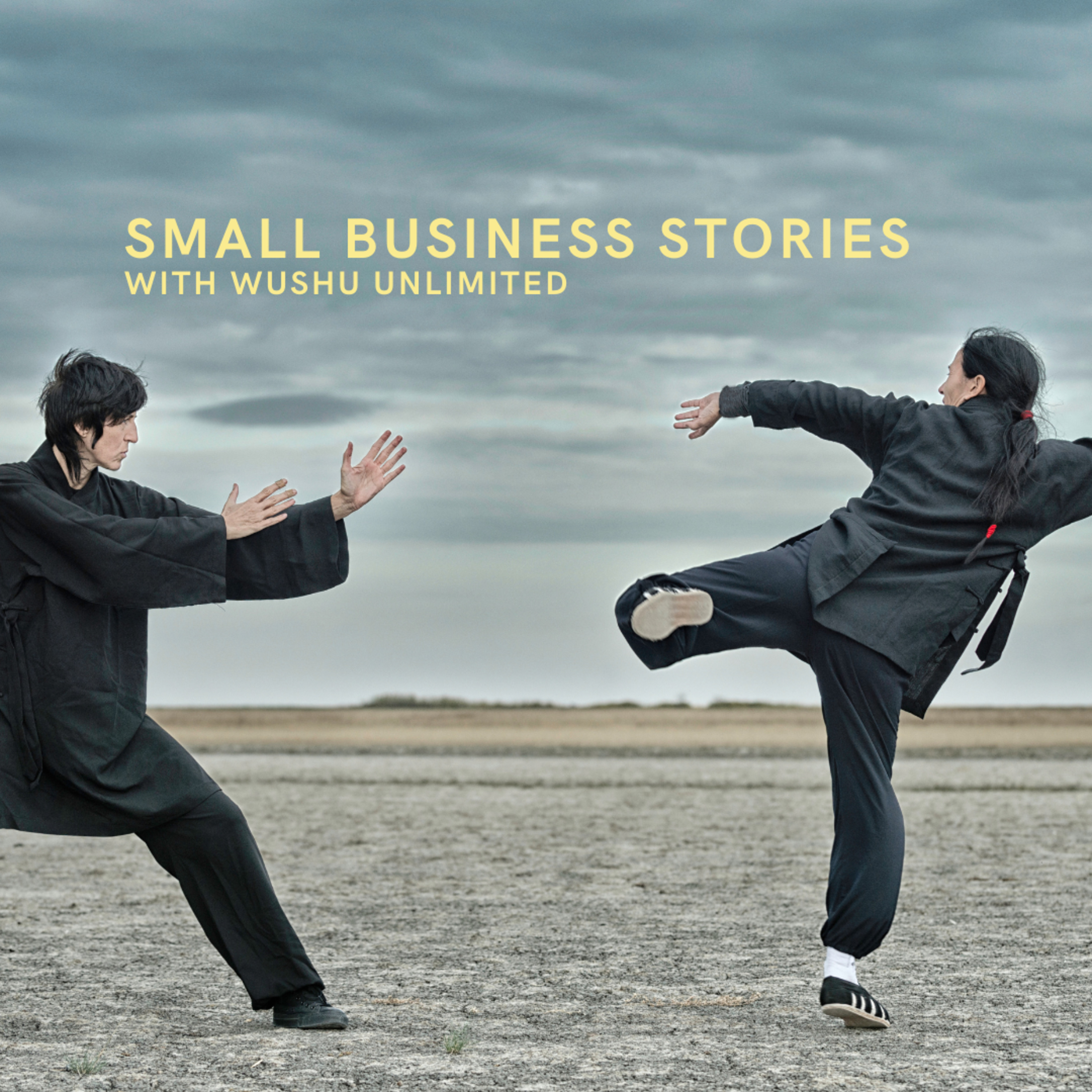Small Business Stories