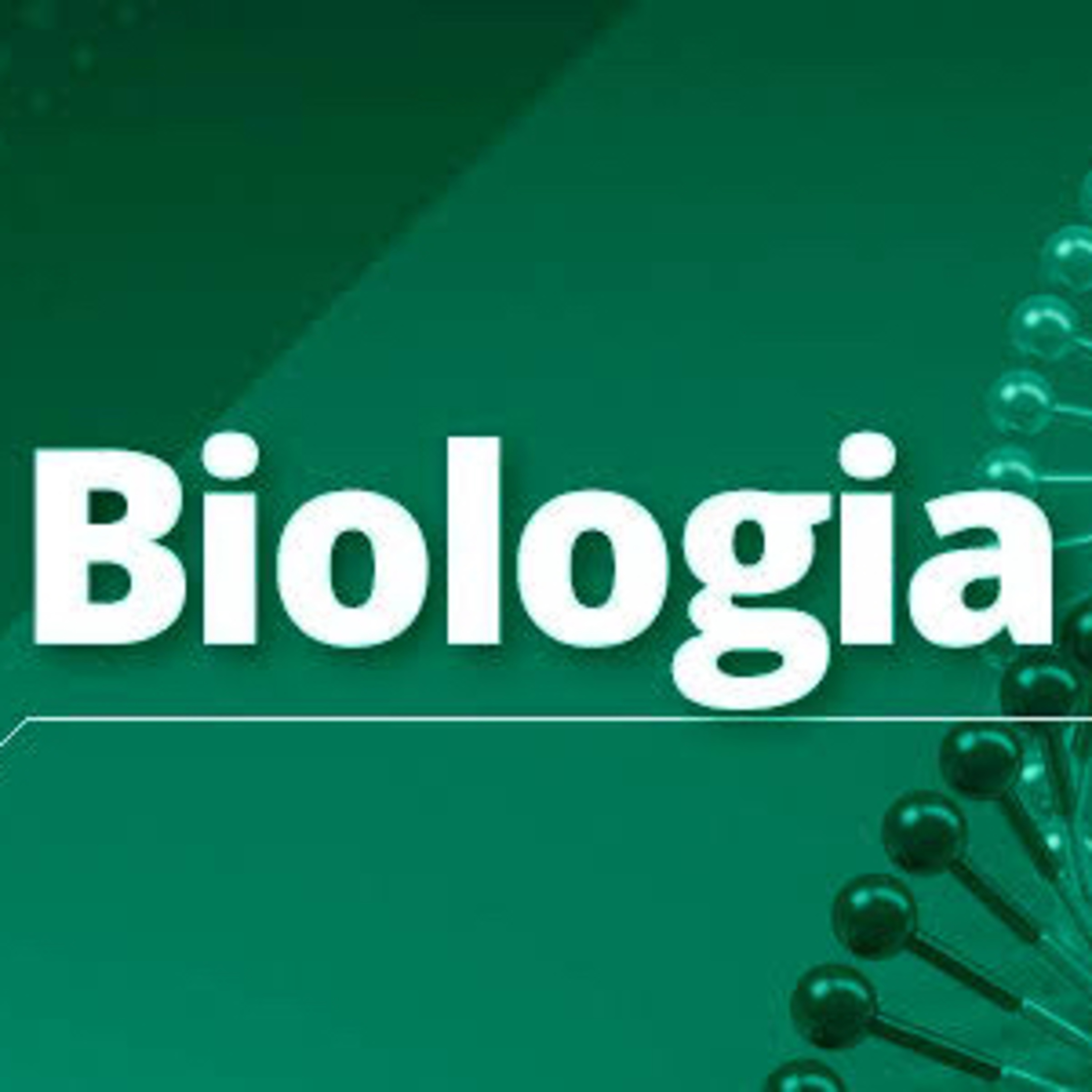 Embriologia: formação dos tecidos embrionários, fecundação e segmentação 
