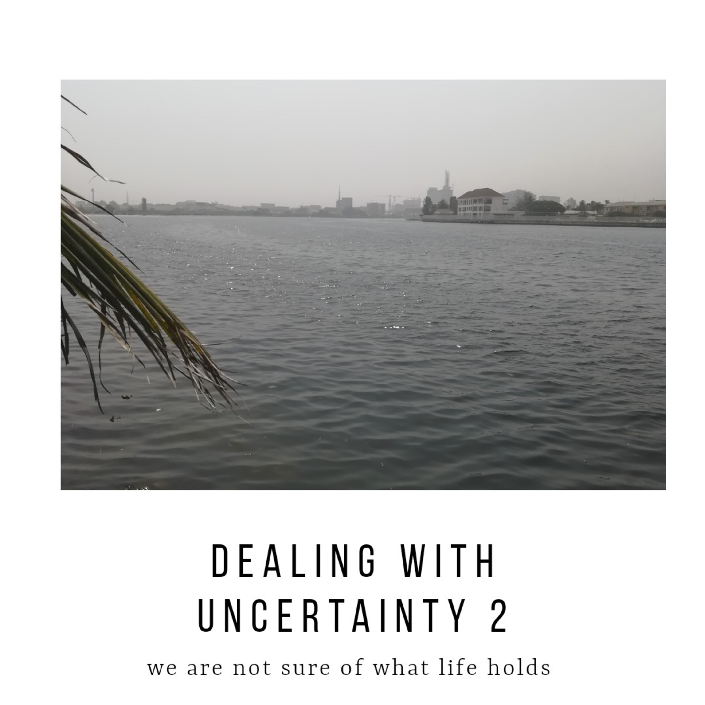 Dealing with Uncertainty 2