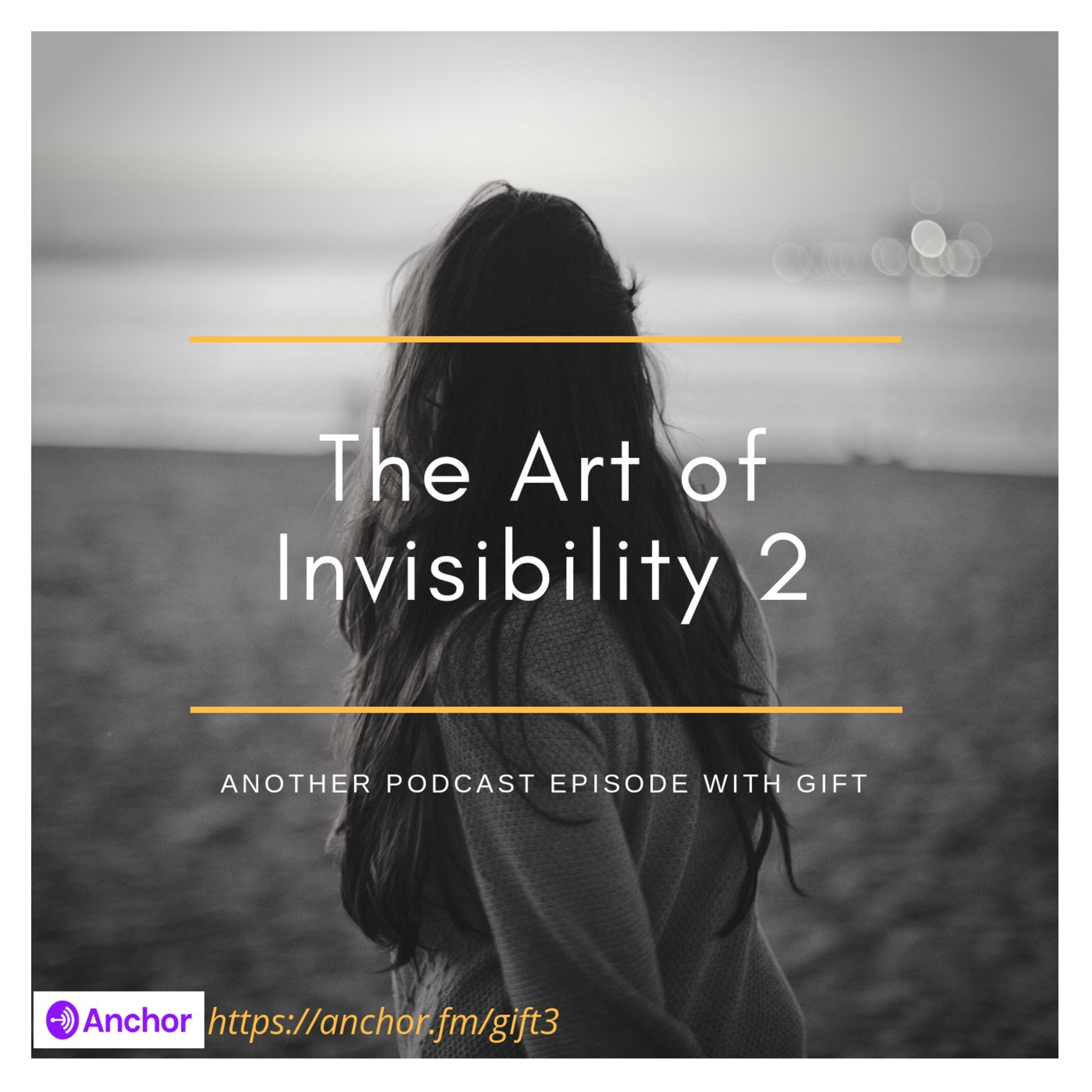 The Art of Invisibility 2