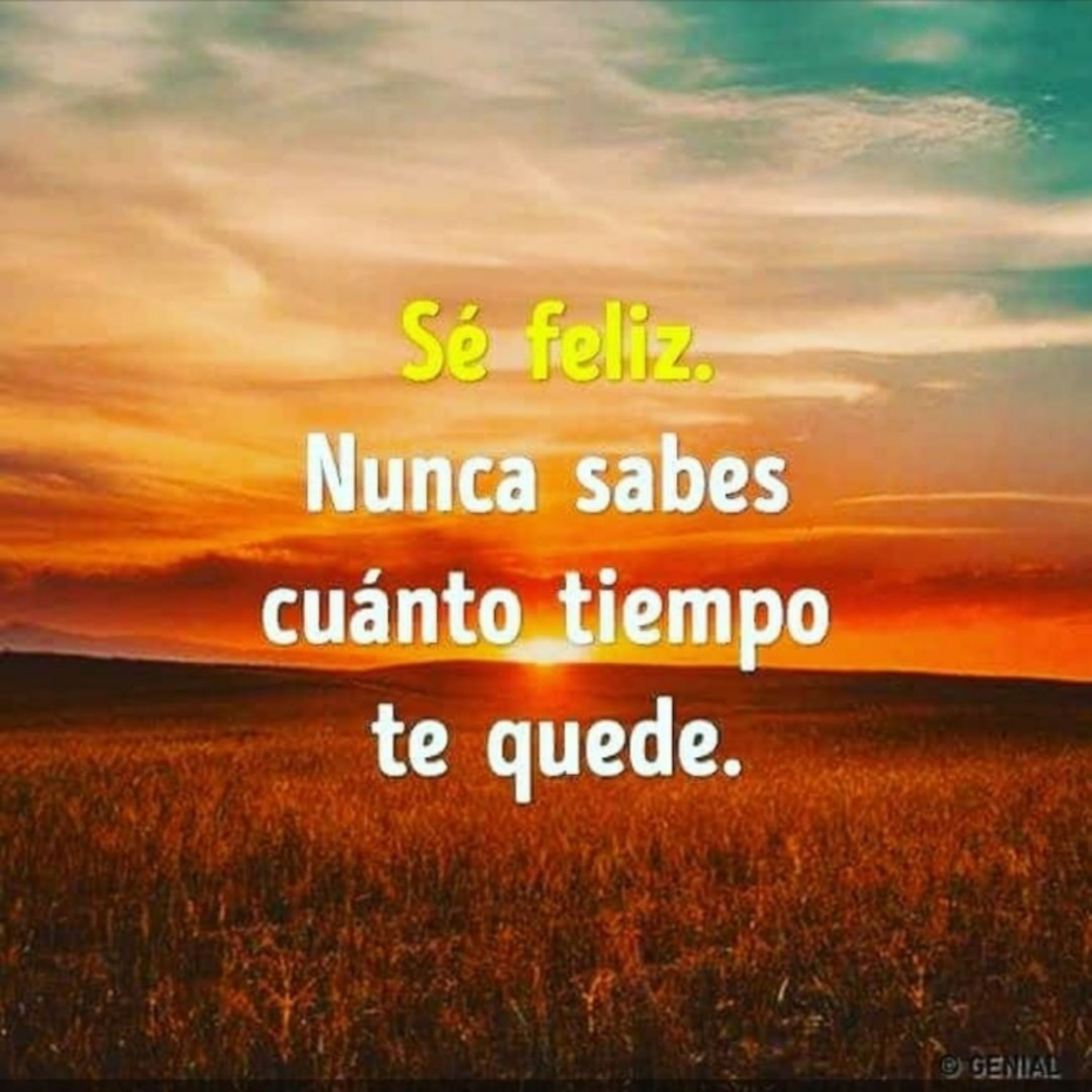 Una Vida, Dos Oportunidades.