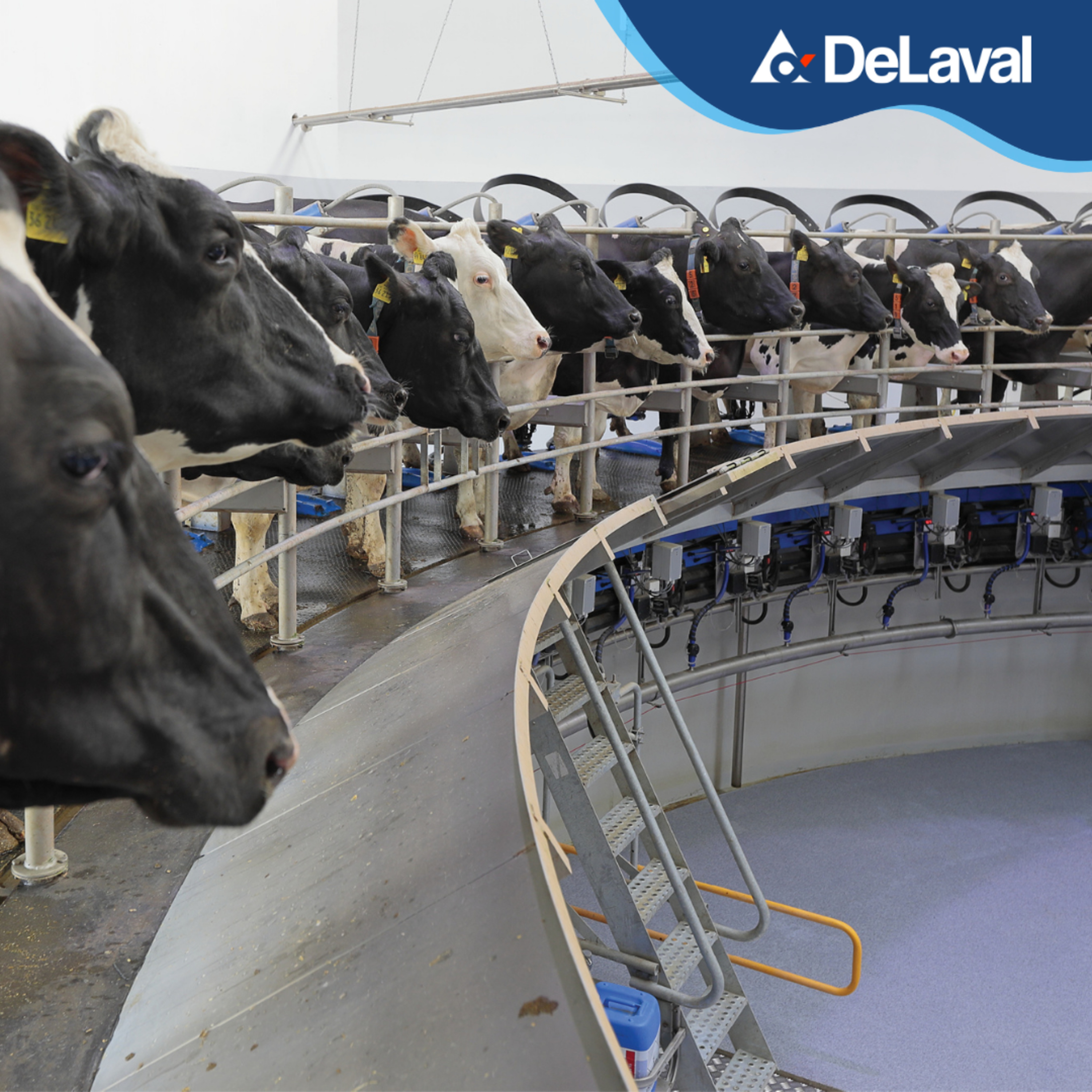 DeLaval LATAM