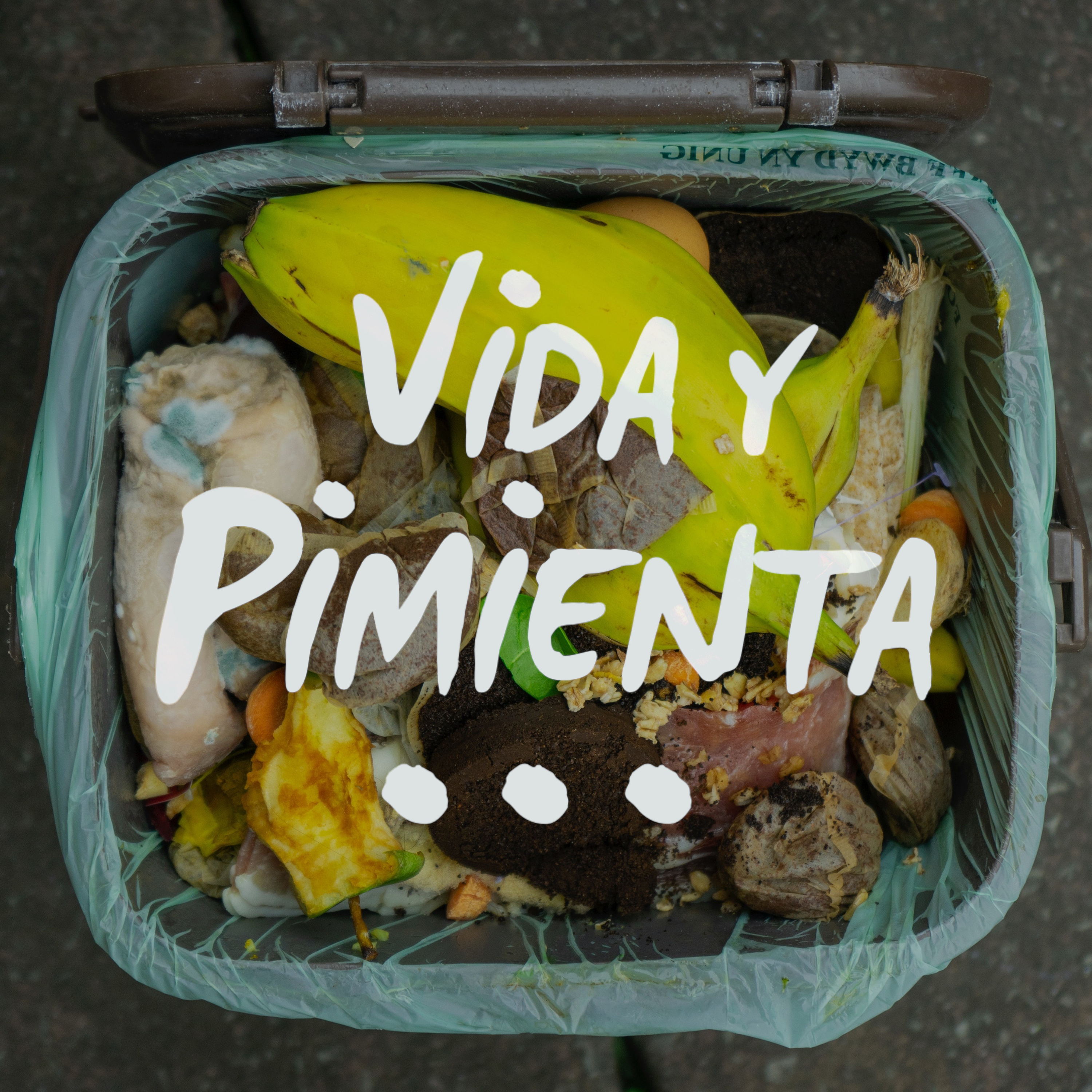 Vida y Pimienta: Vida Cero Residuo