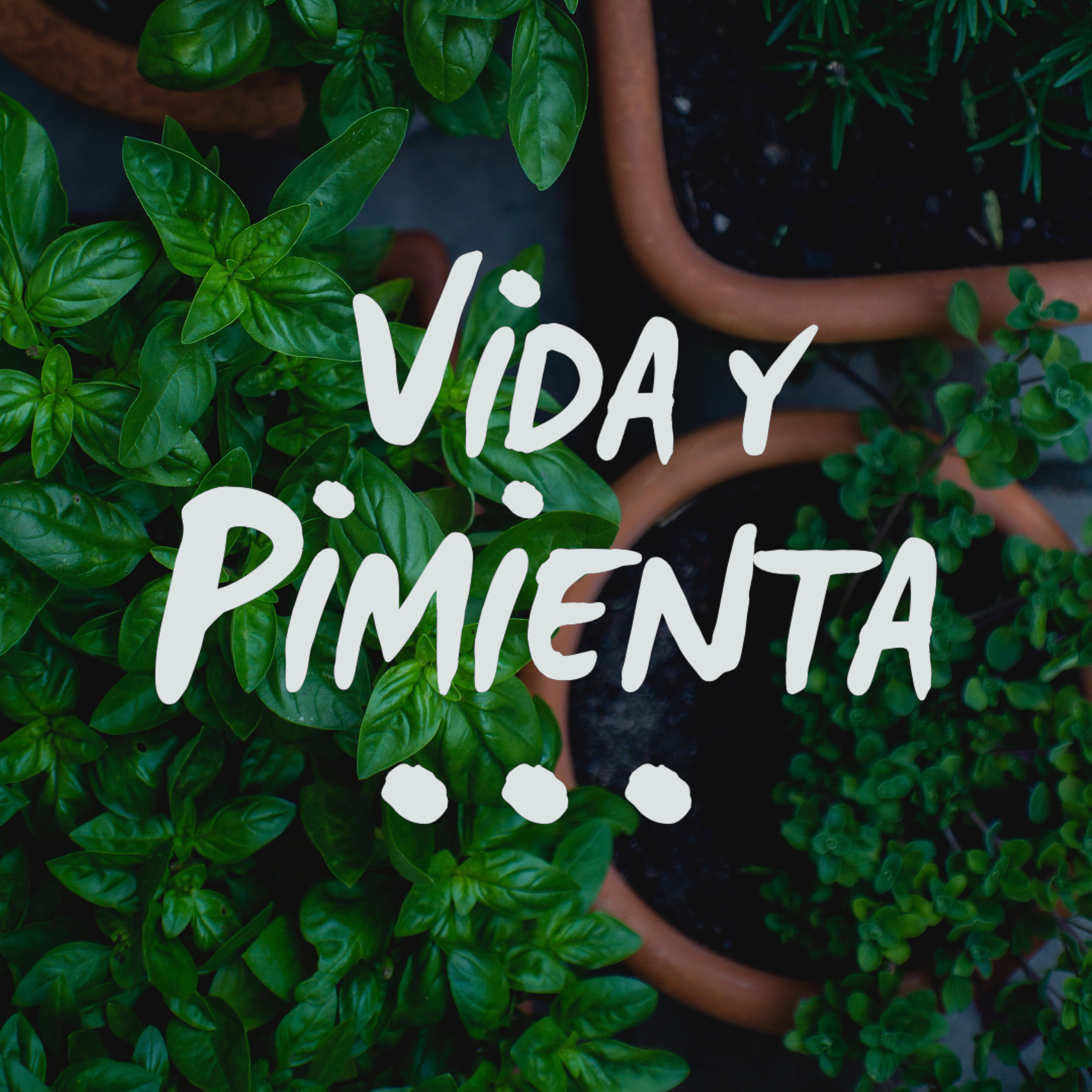 Vida y Pimienta: Vida Cero Residuo