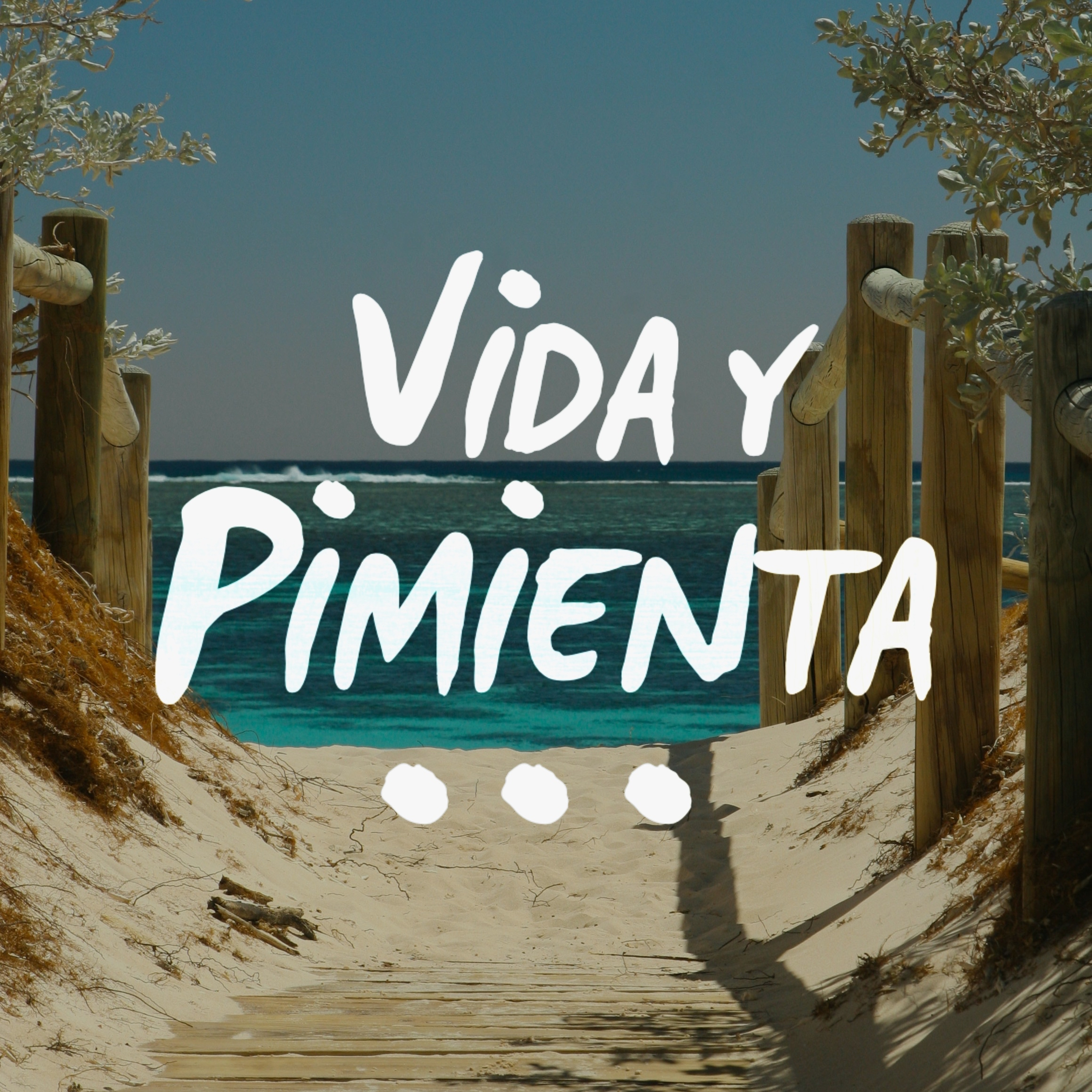 Vida y Pimienta: Vida Cero Residuo