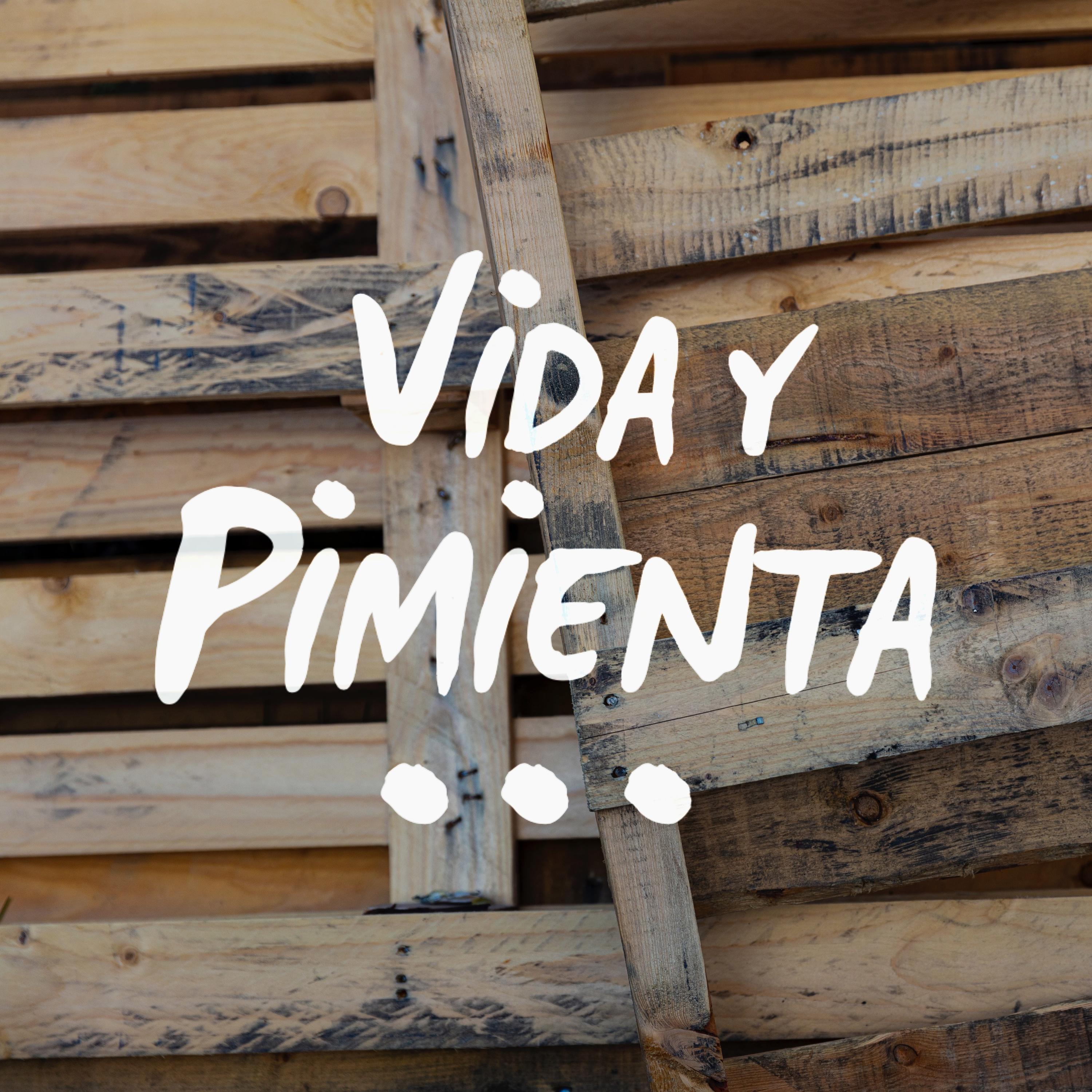 Vida y Pimienta: Vida Cero Residuo