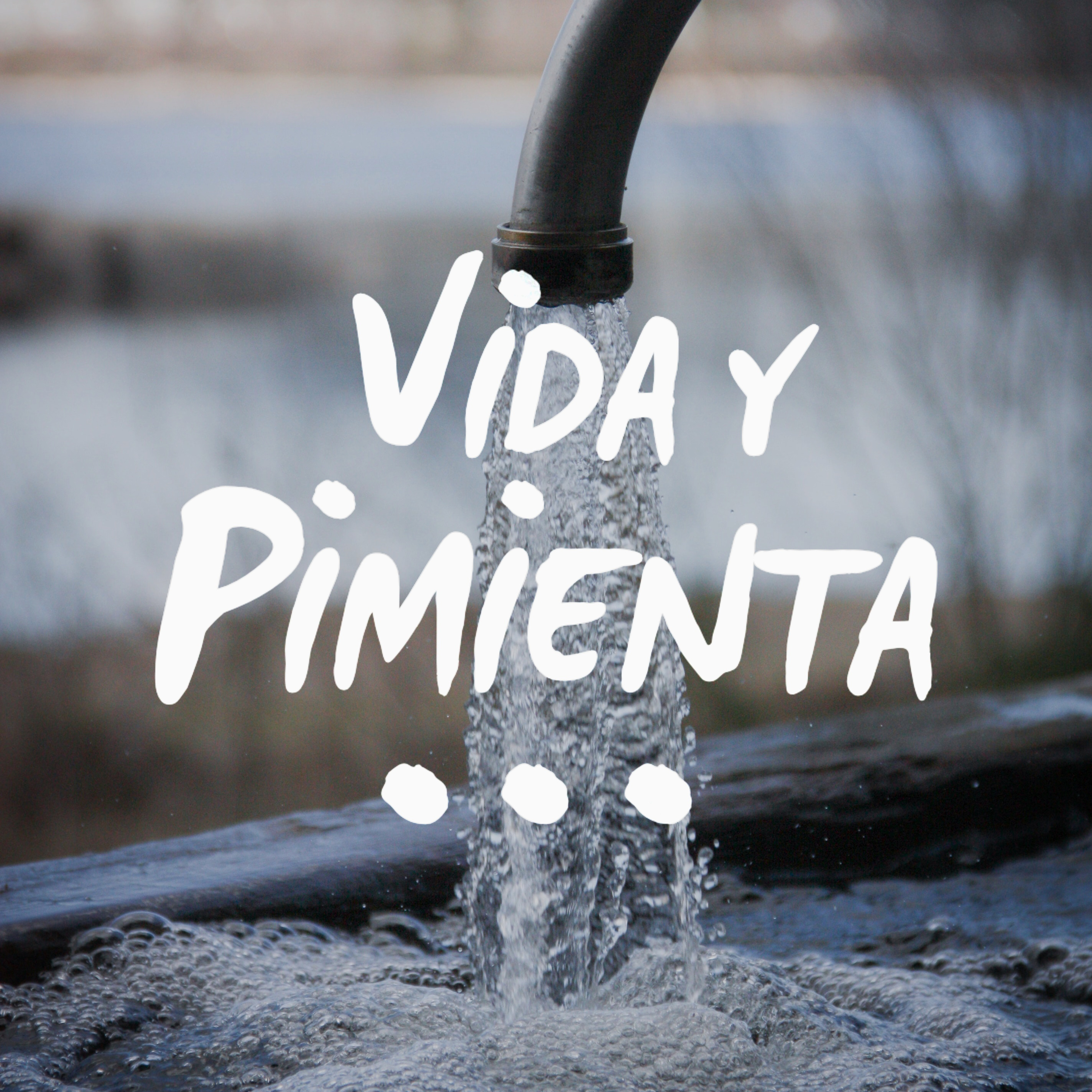 Vida y Pimienta: Vida Cero Residuo