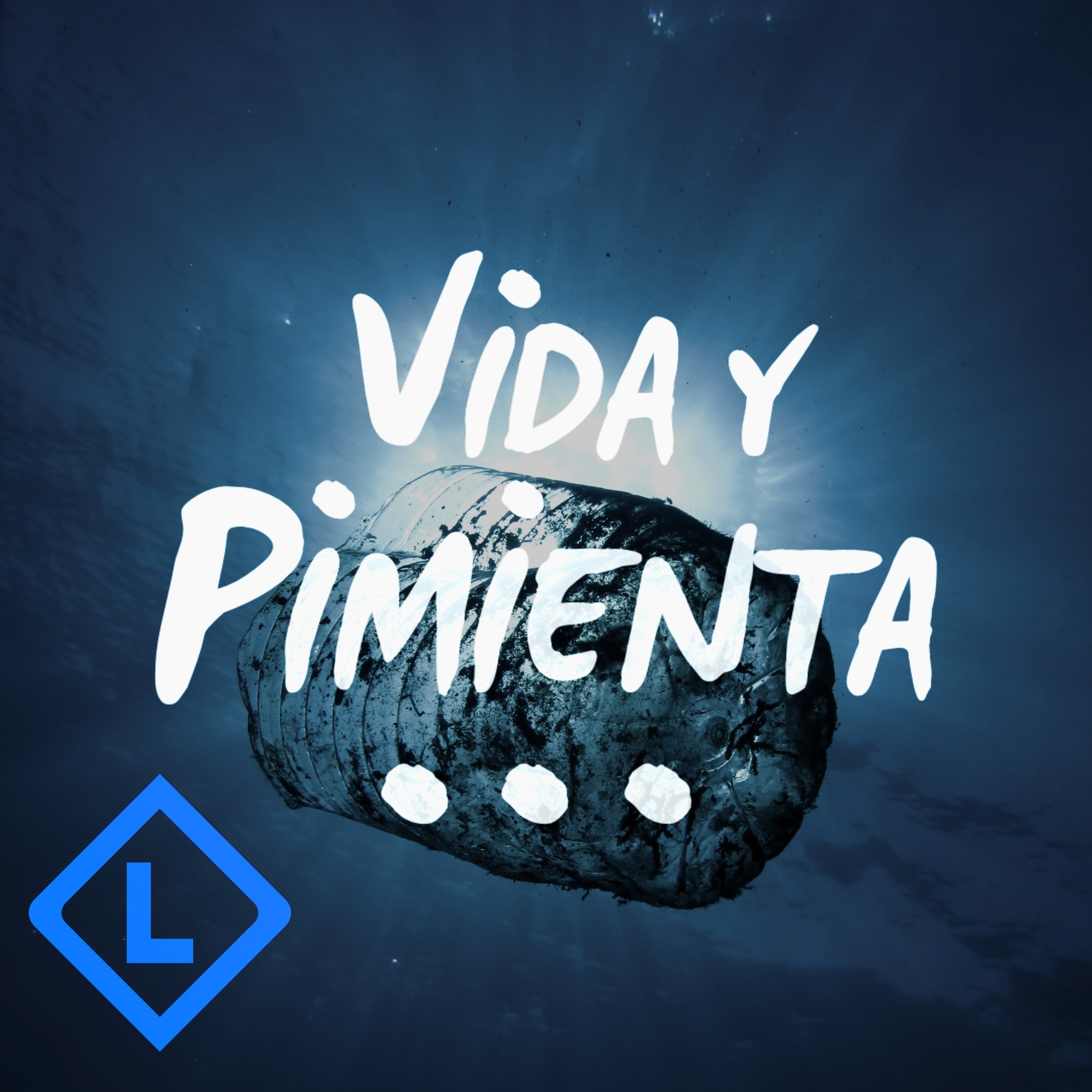 Vida y Pimienta: Vida Cero Residuo