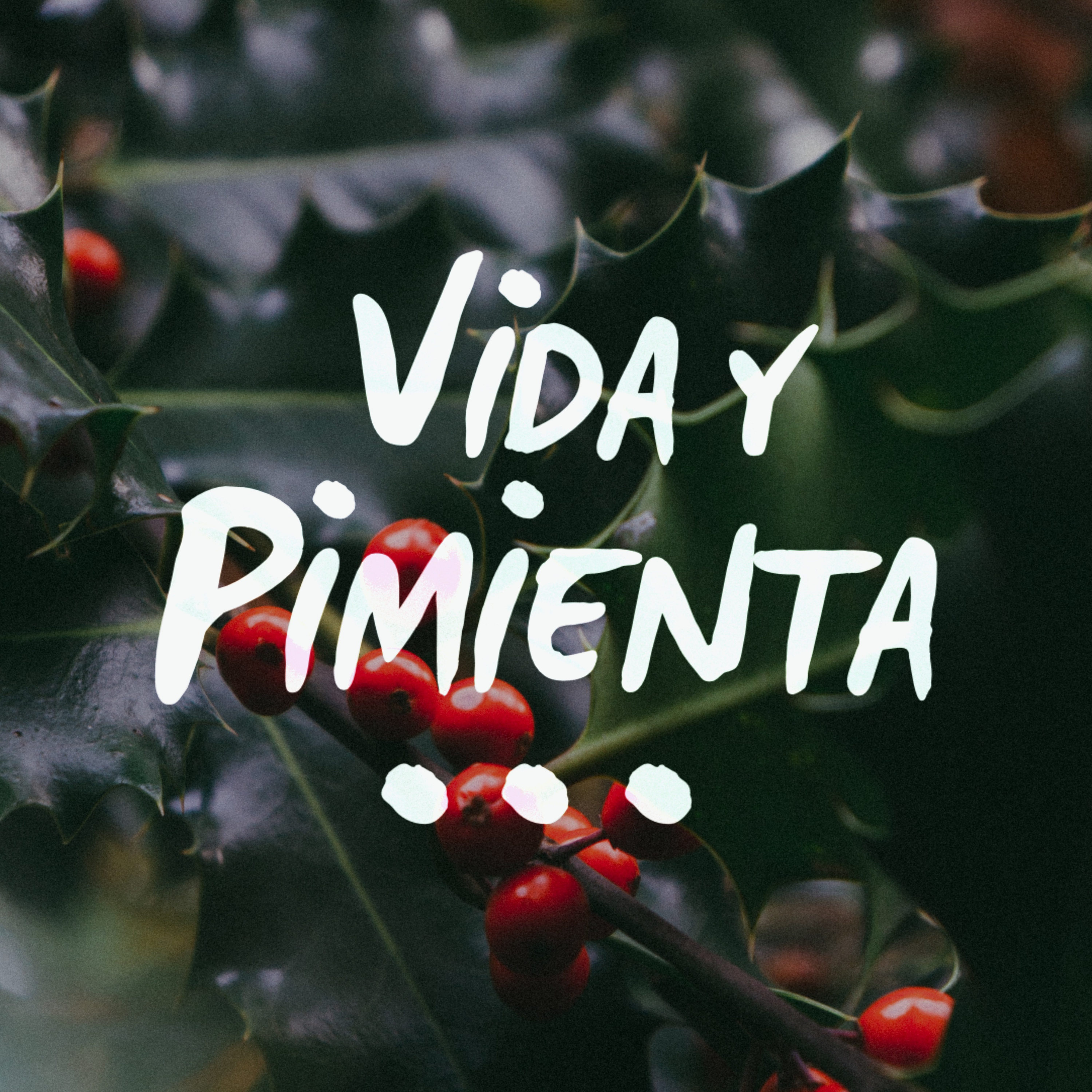 Vida y Pimienta: Vida Cero Residuo