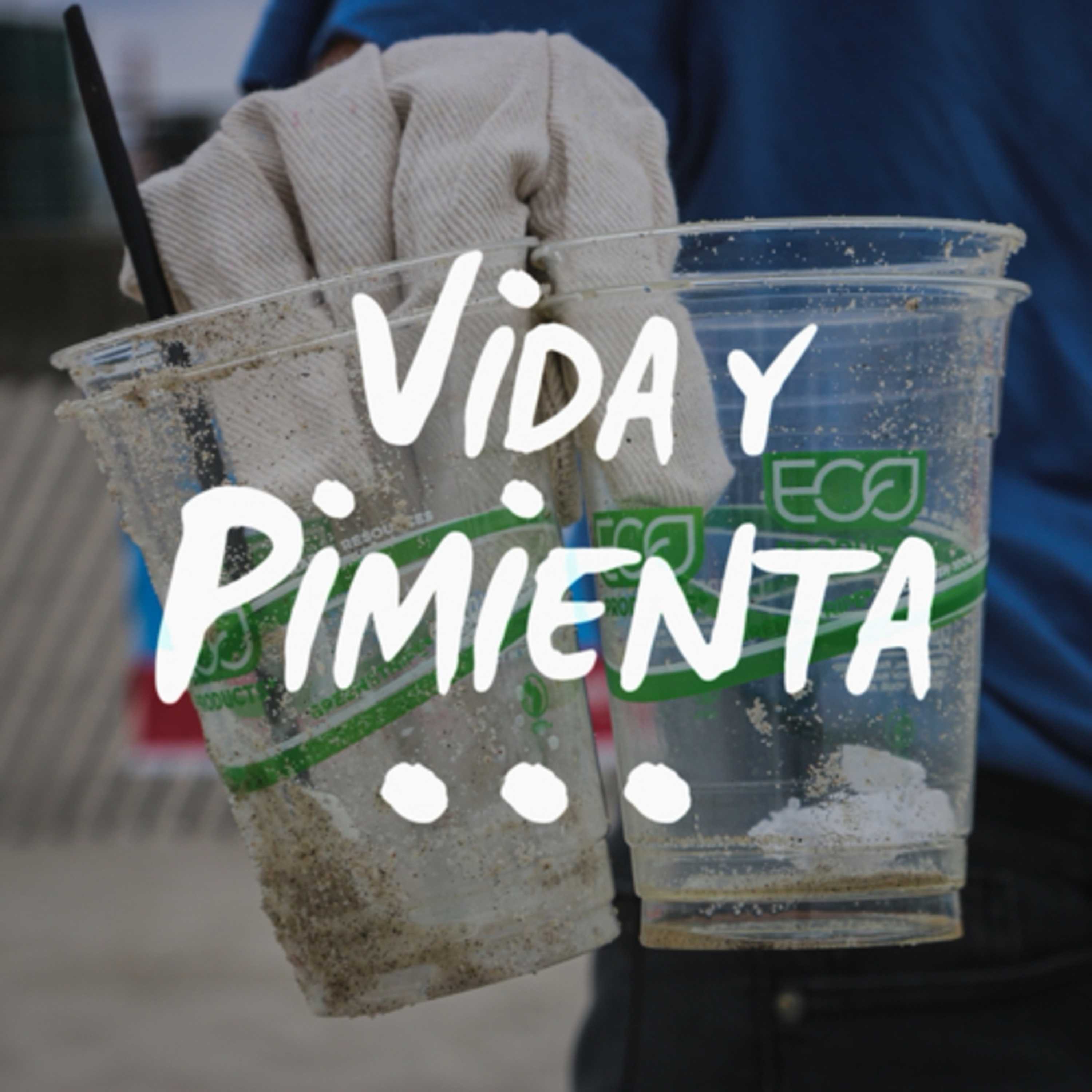 Vida y Pimienta: Vida Cero Residuo