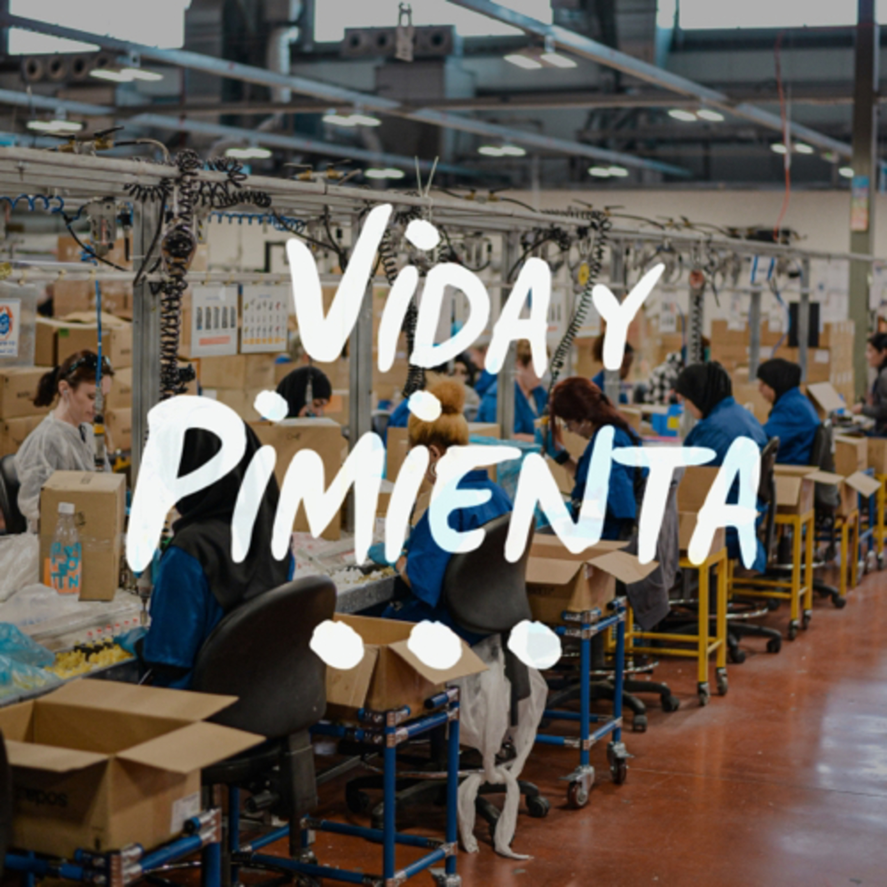 Vida y Pimienta: Vida Cero Residuo