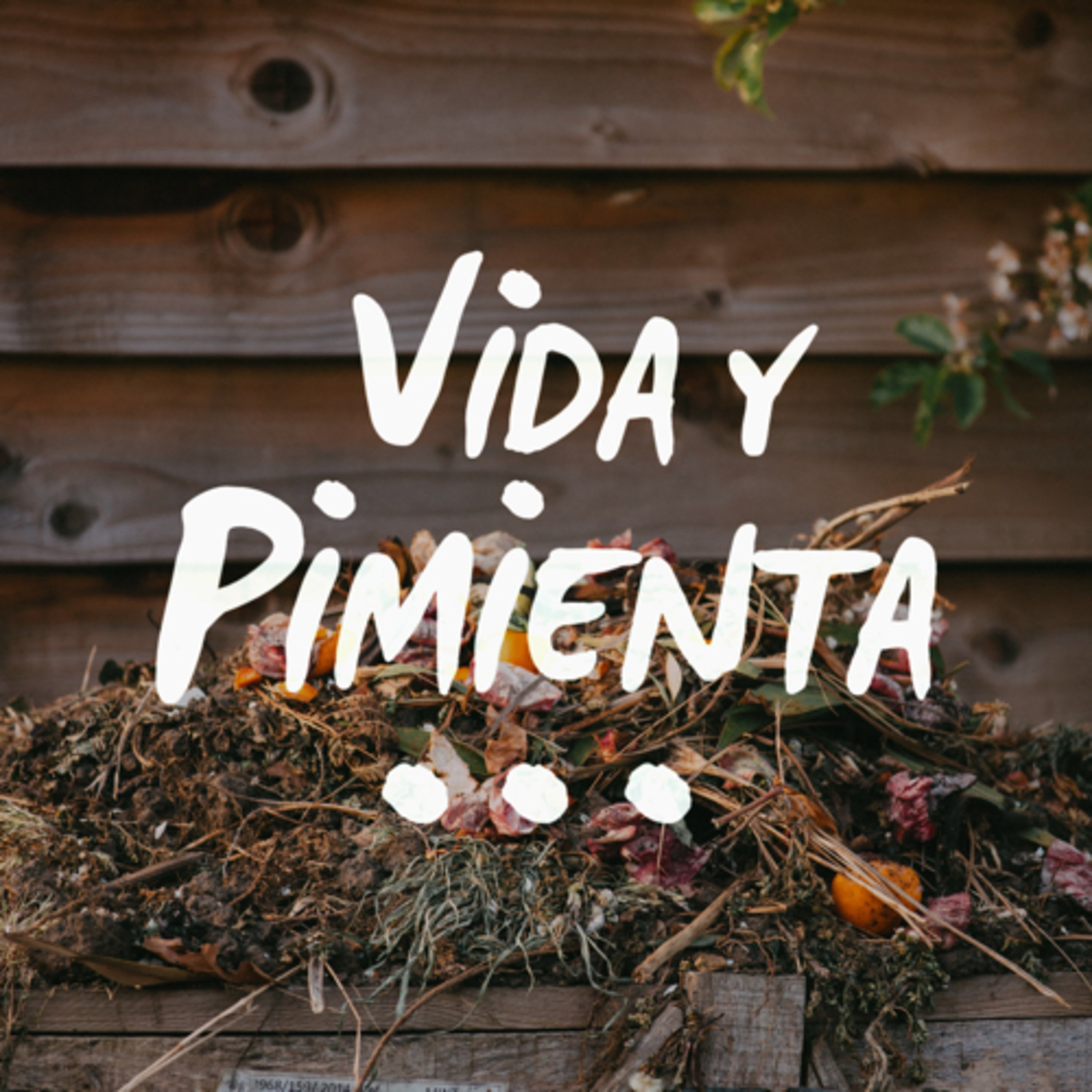 Vida y Pimienta: Vida Cero Residuo