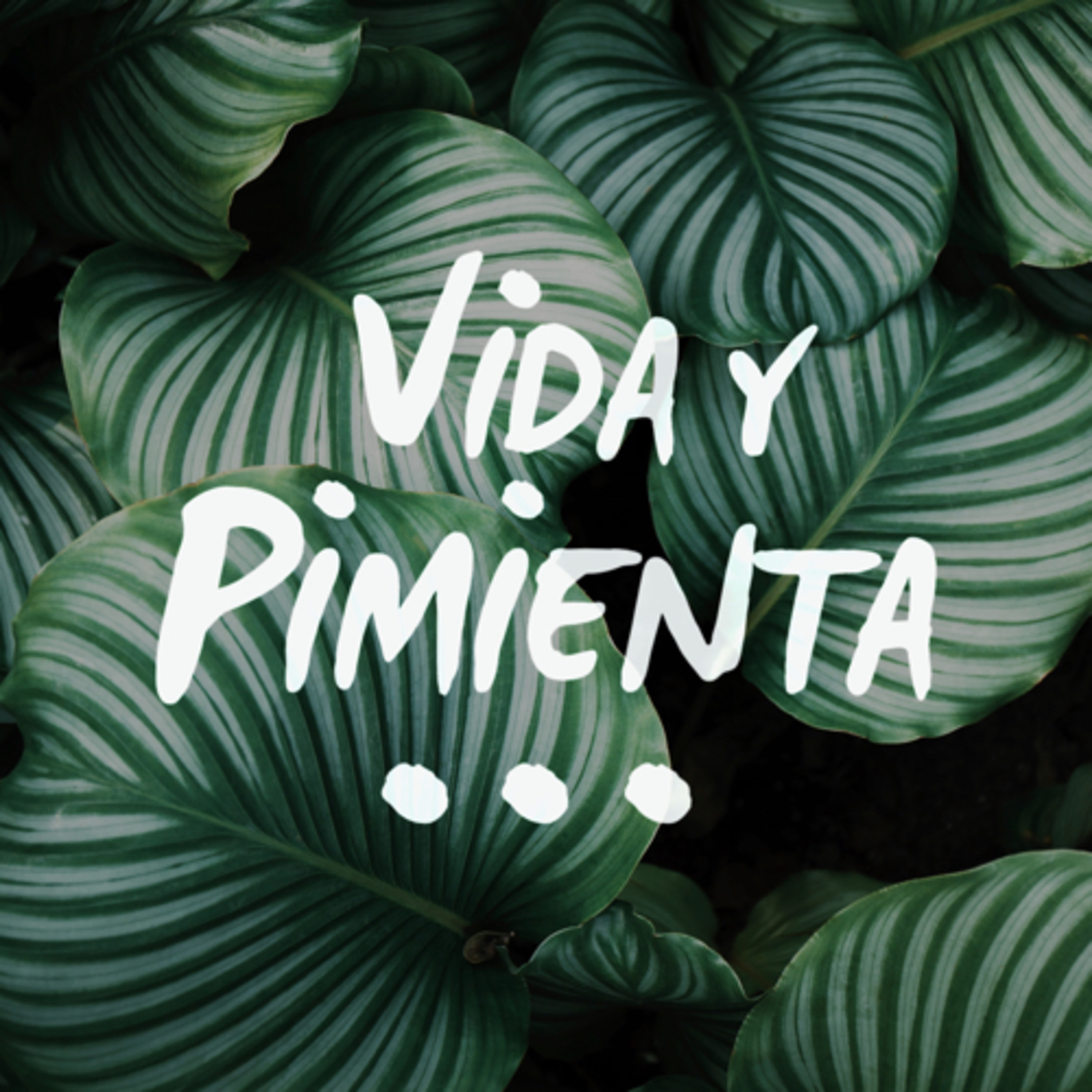 Vida y Pimienta: Vida Cero Residuo