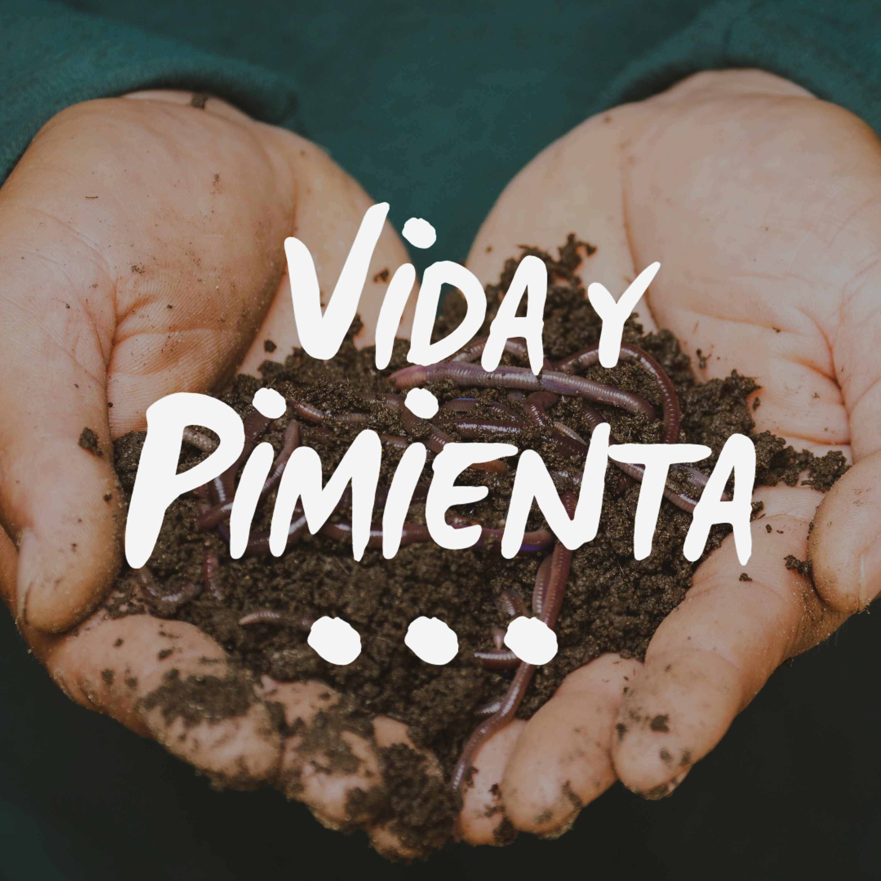Vida y Pimienta: Vida Cero Residuo